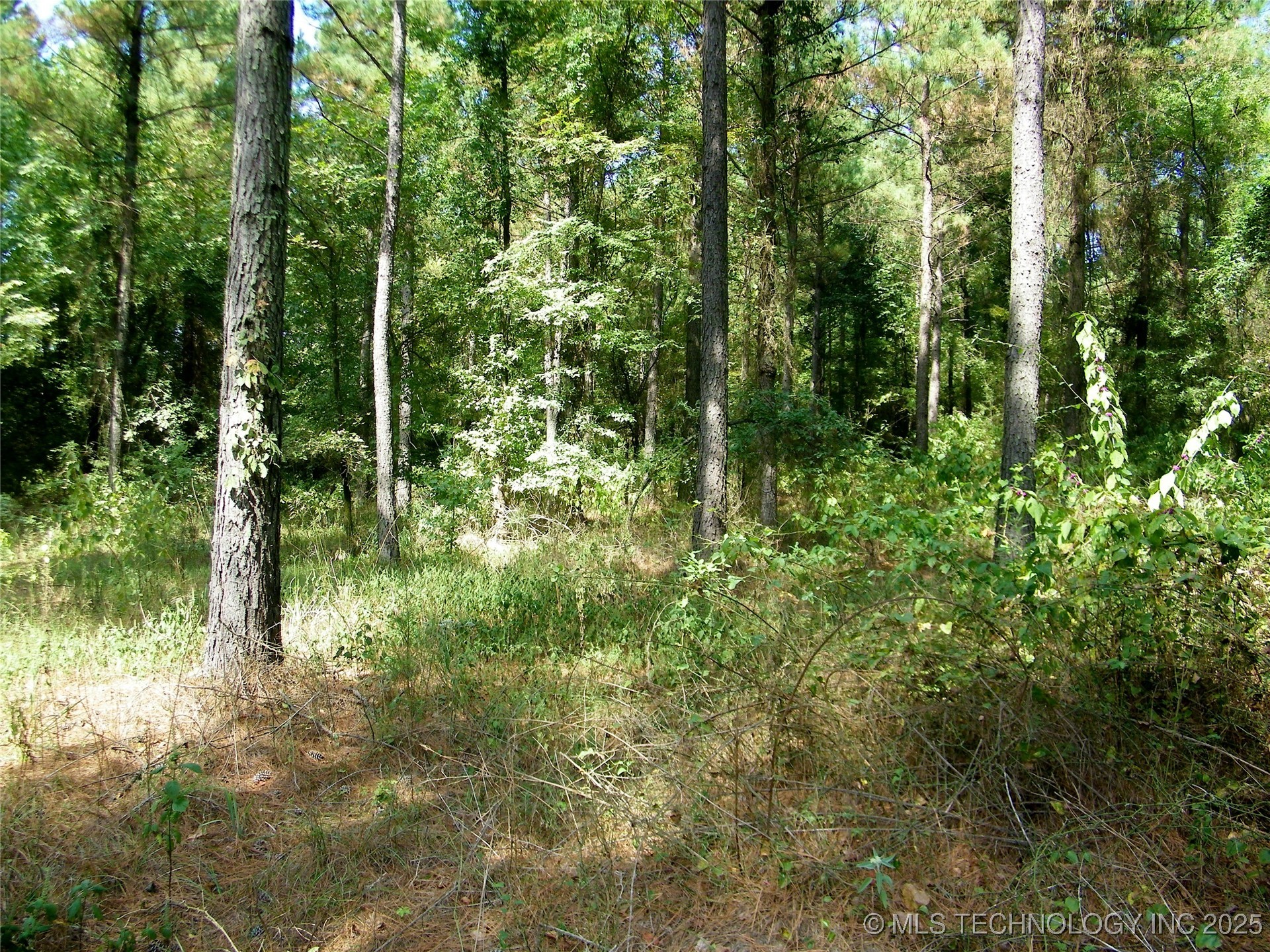 901 Sycamore Loop Property Photo 58