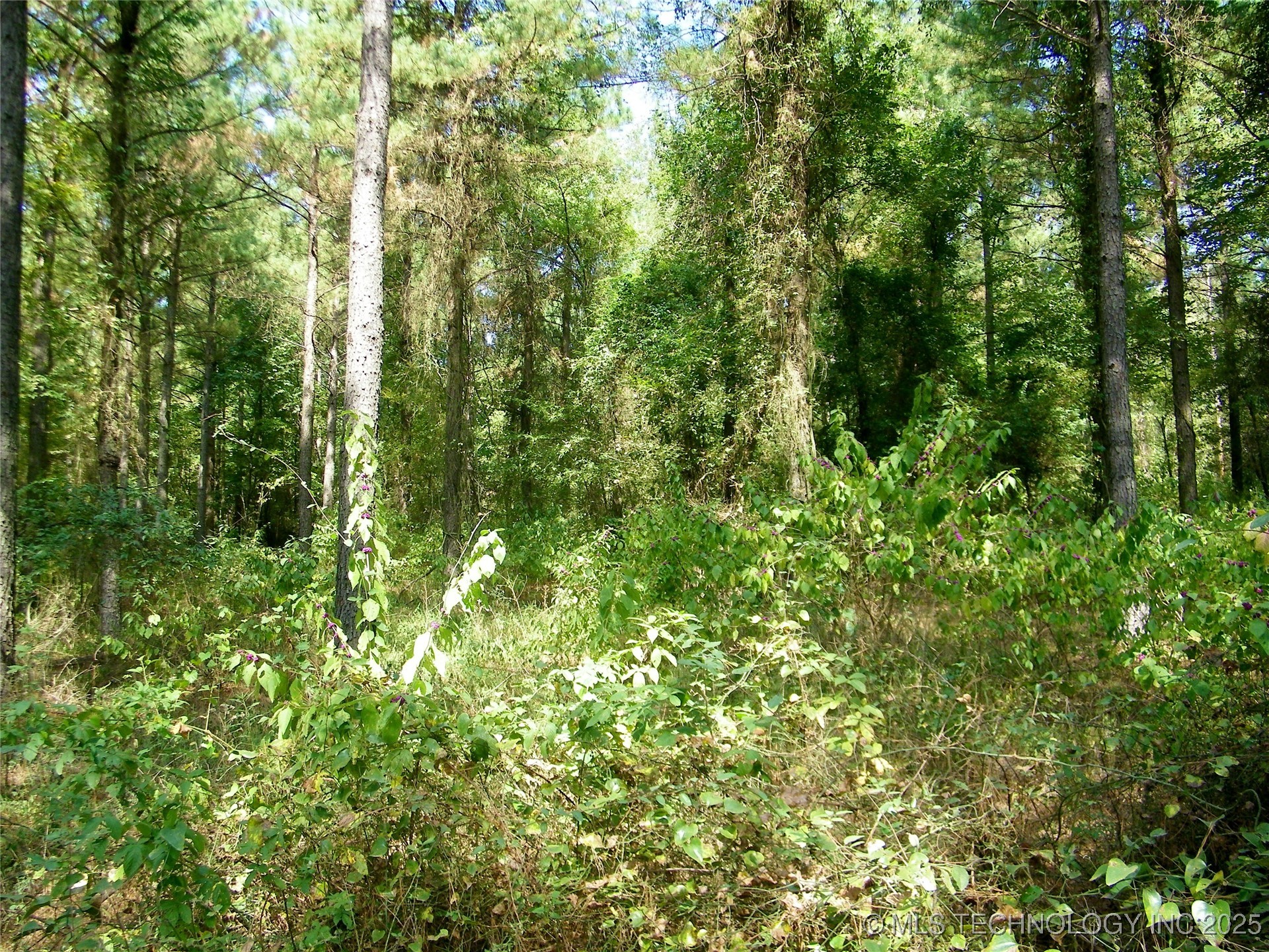 901 Sycamore Loop Property Photo 59