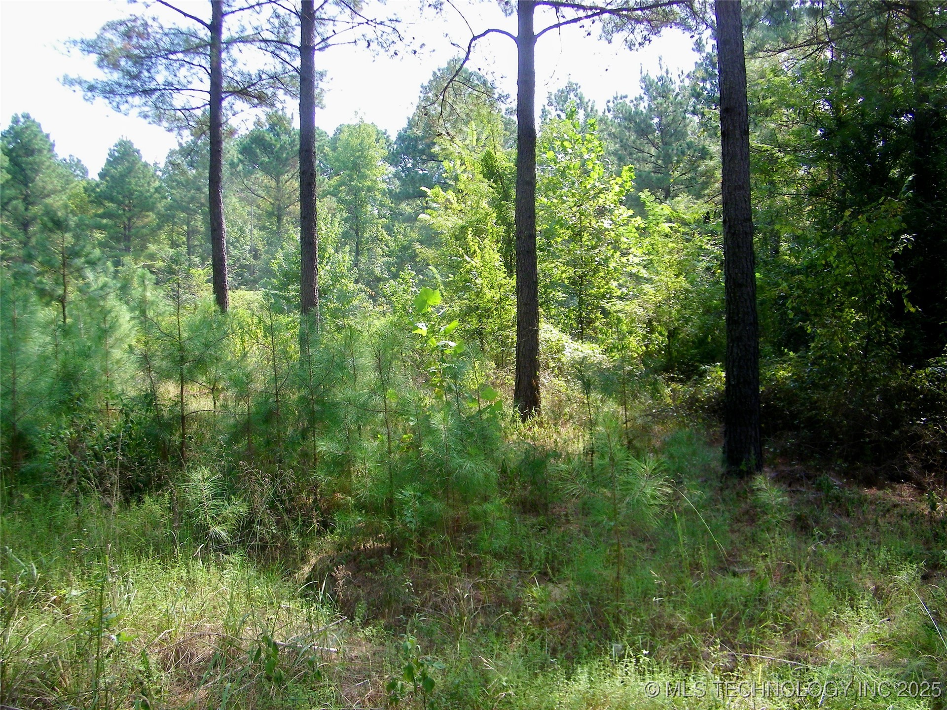 901 Sycamore Loop Property Photo 60