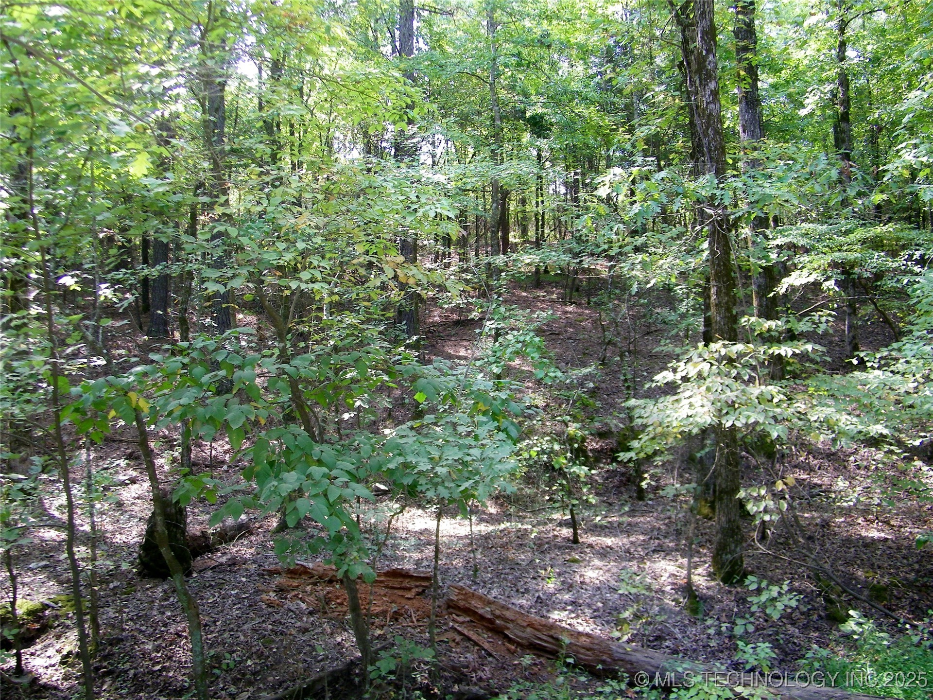 901 Sycamore Loop Property Photo 63