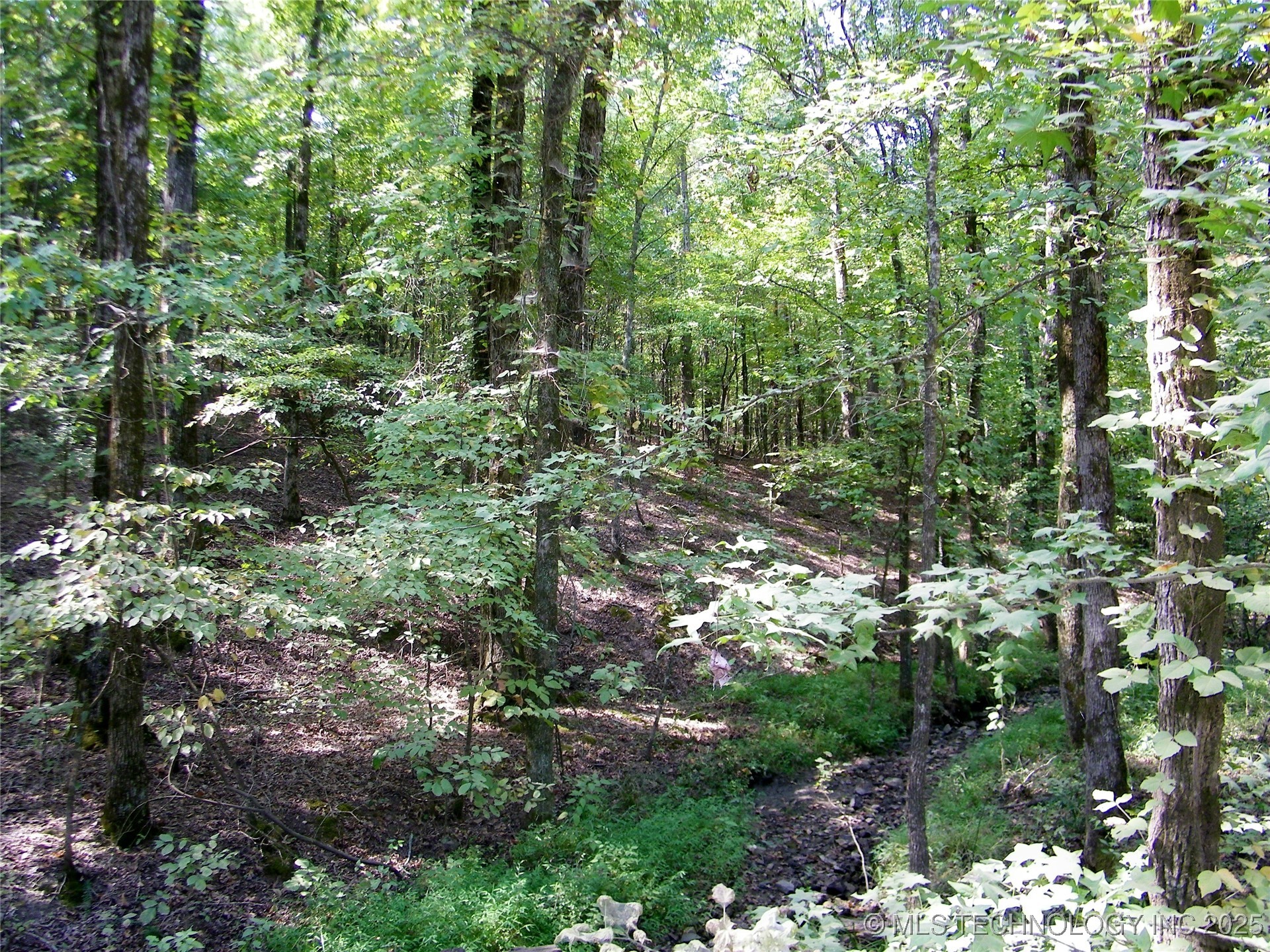 901 Sycamore Loop Property Photo 64