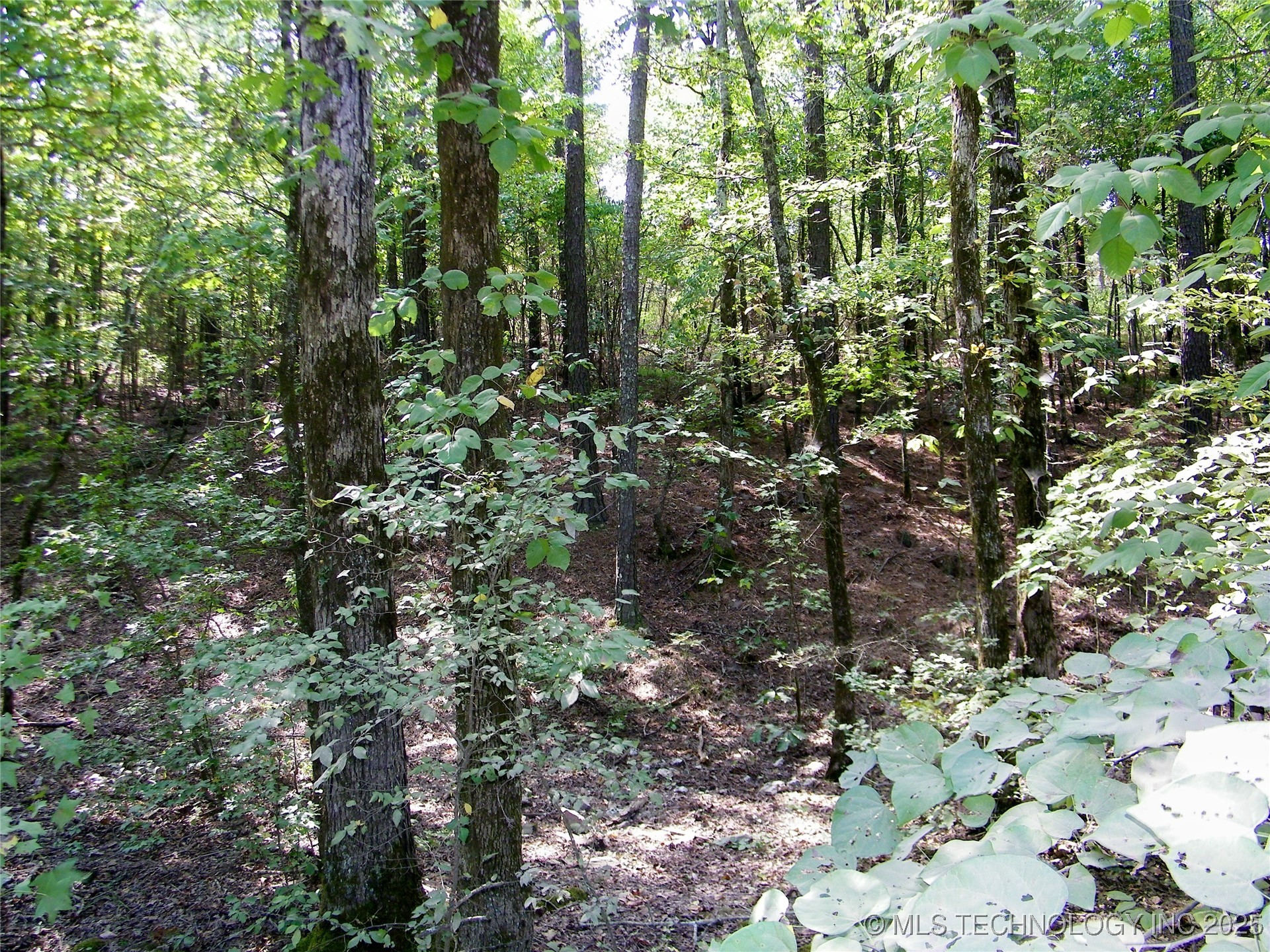 901 Sycamore Loop Property Photo 65