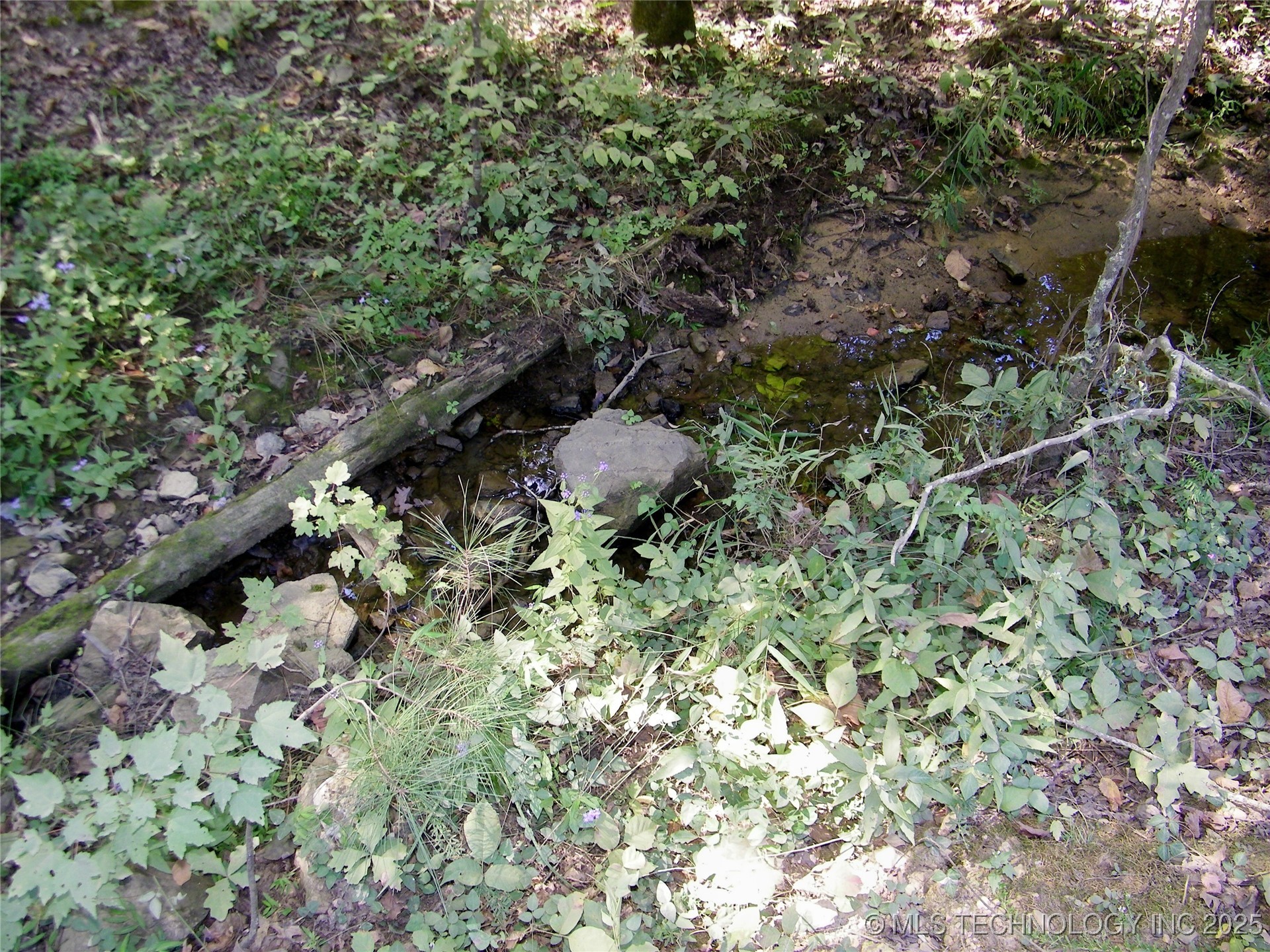 901 Sycamore Loop Property Photo 66