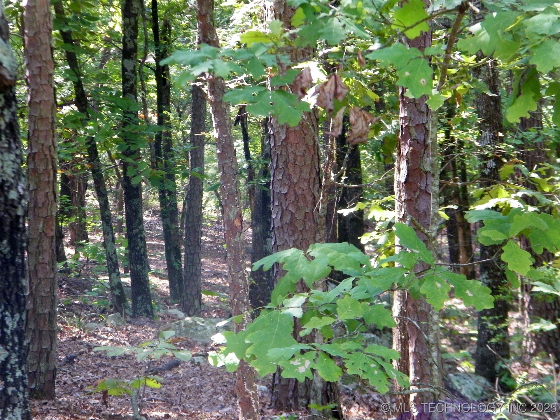 901 Sycamore Loop Property Photo 77