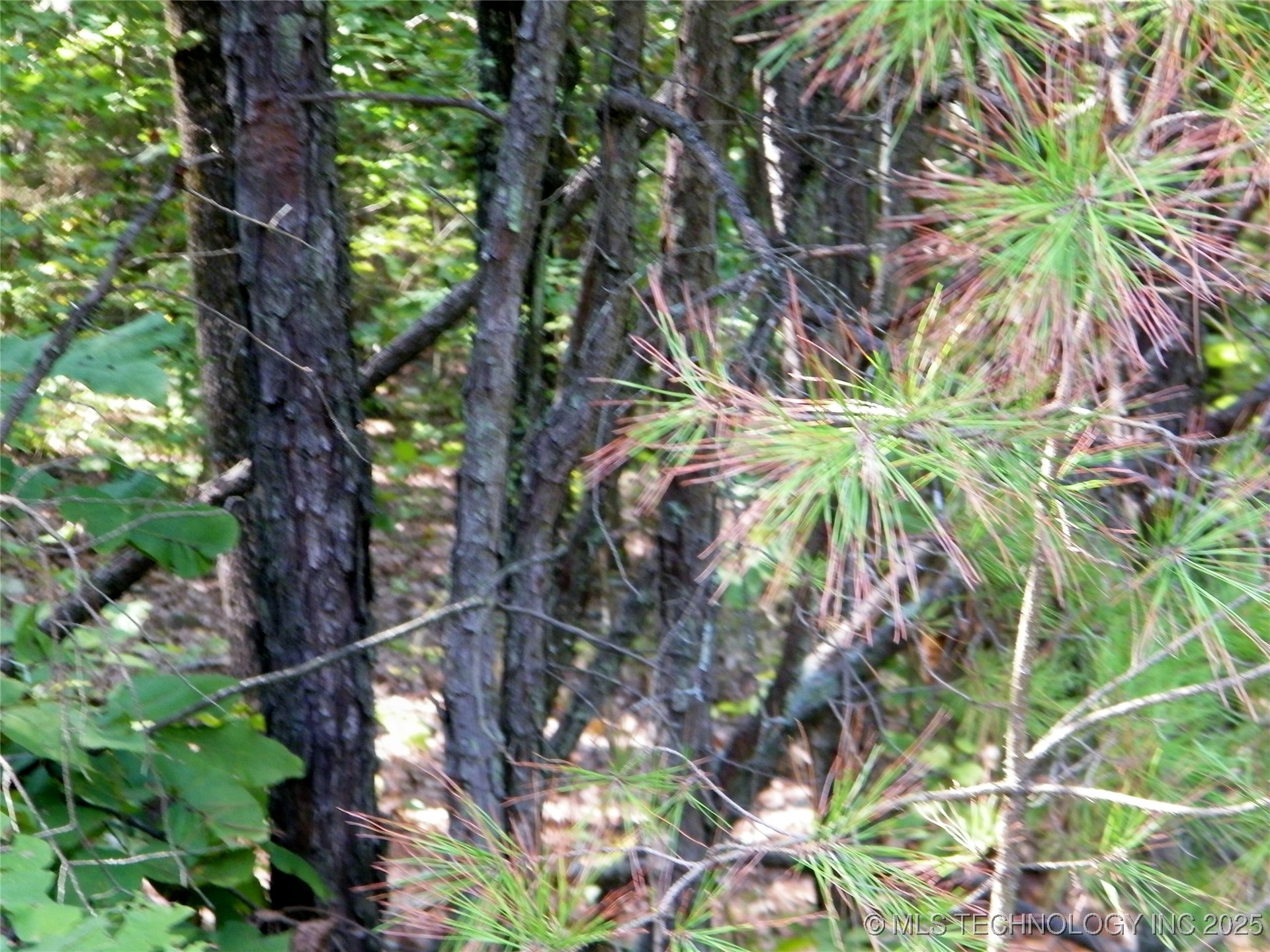 901 Sycamore Loop Property Photo 78