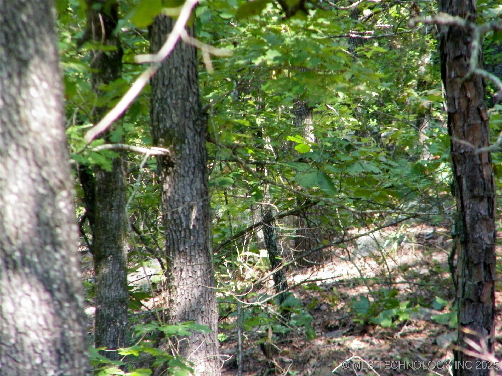 901 Sycamore Loop Property Photo 79