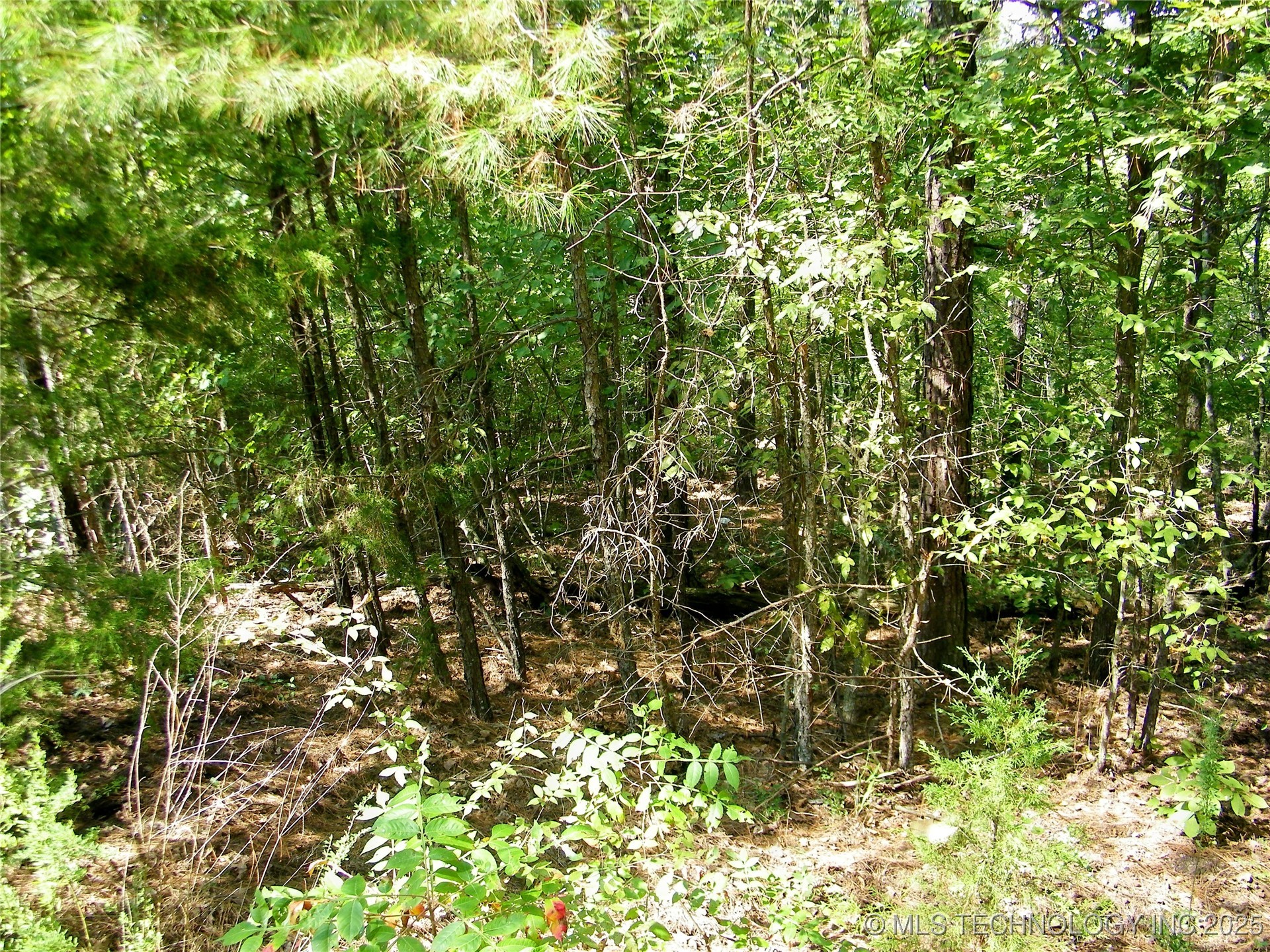 901 Sycamore Loop Property Photo 86