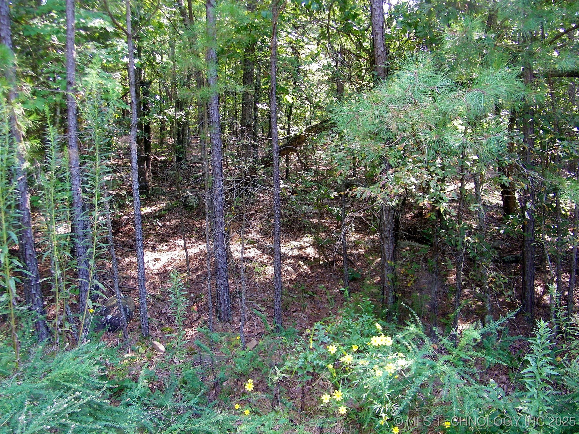 901 Sycamore Loop Property Photo 88