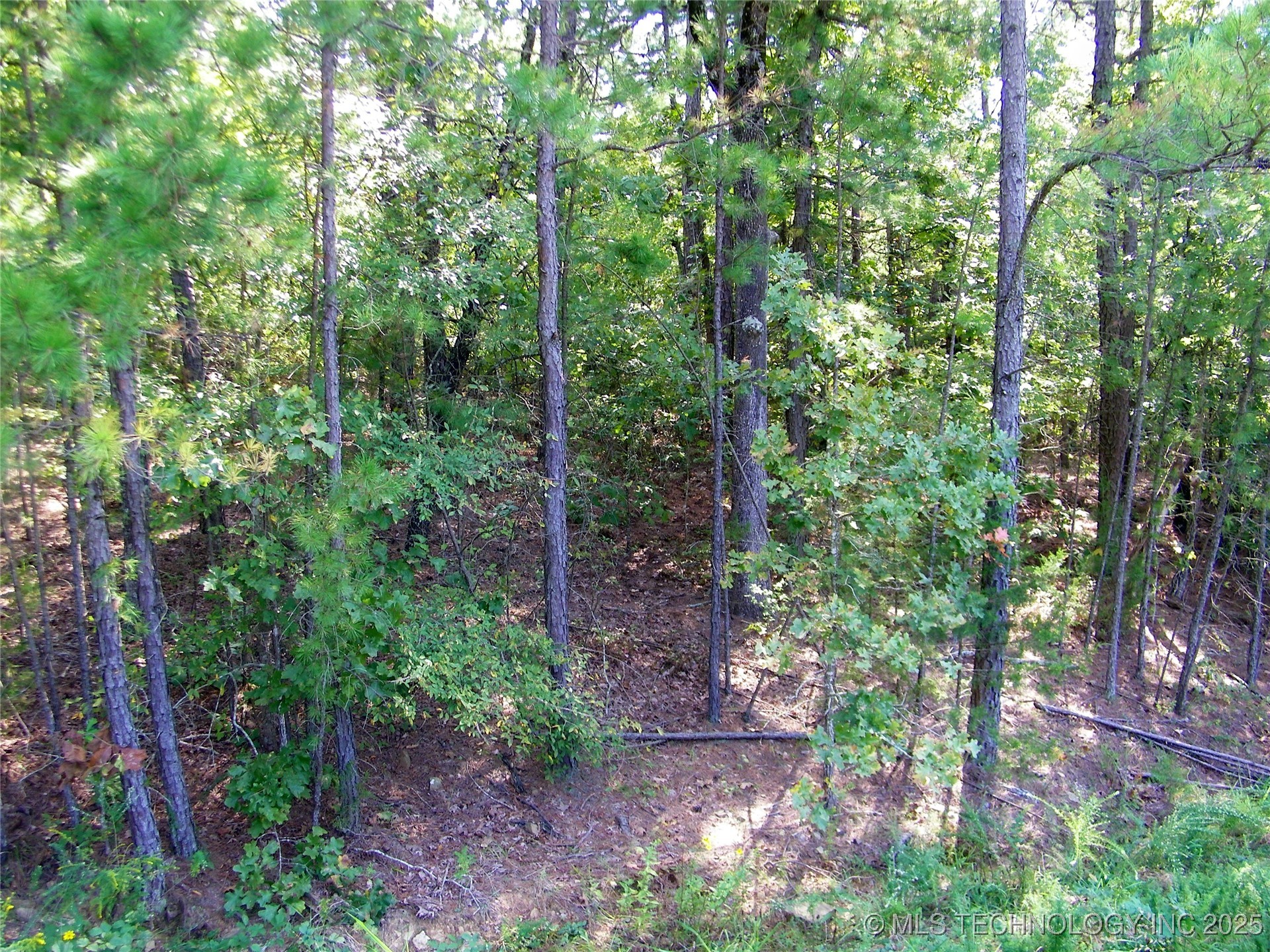 901 Sycamore Loop Property Photo 93