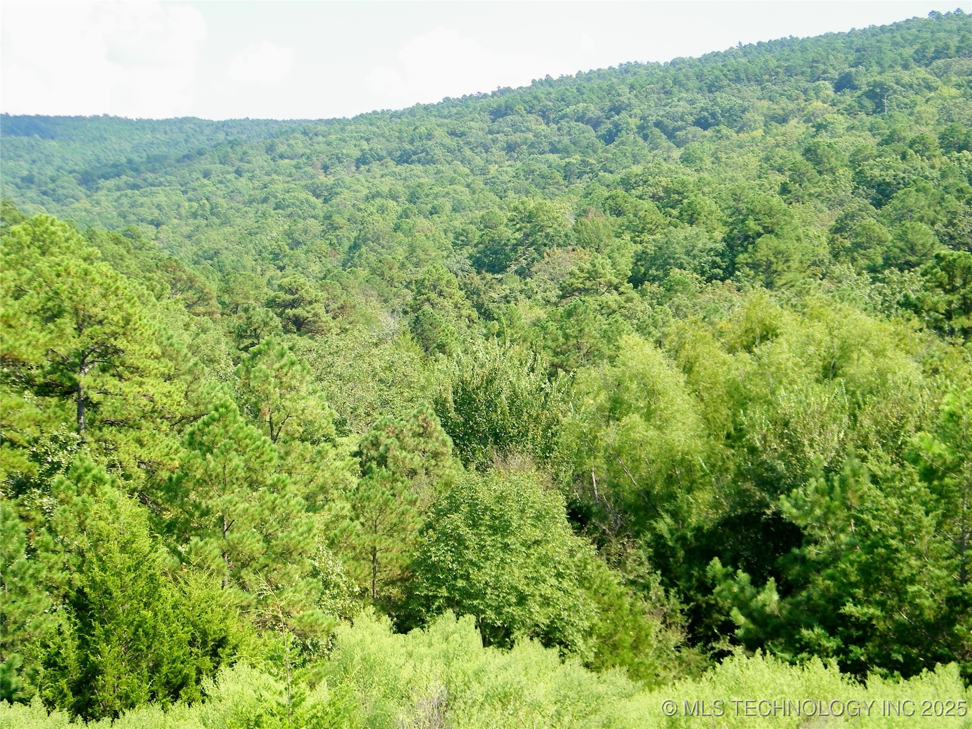 Land Property Photo 2