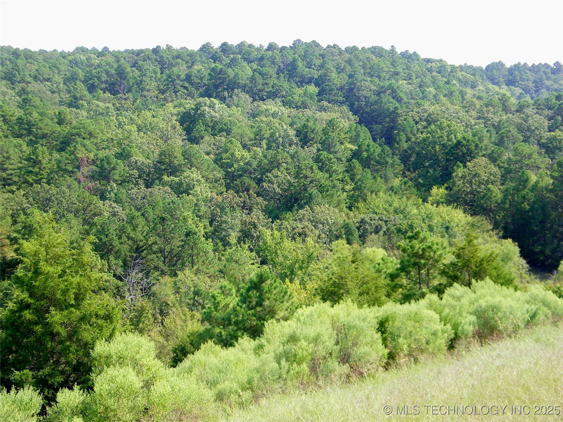 Land Property Photo 3