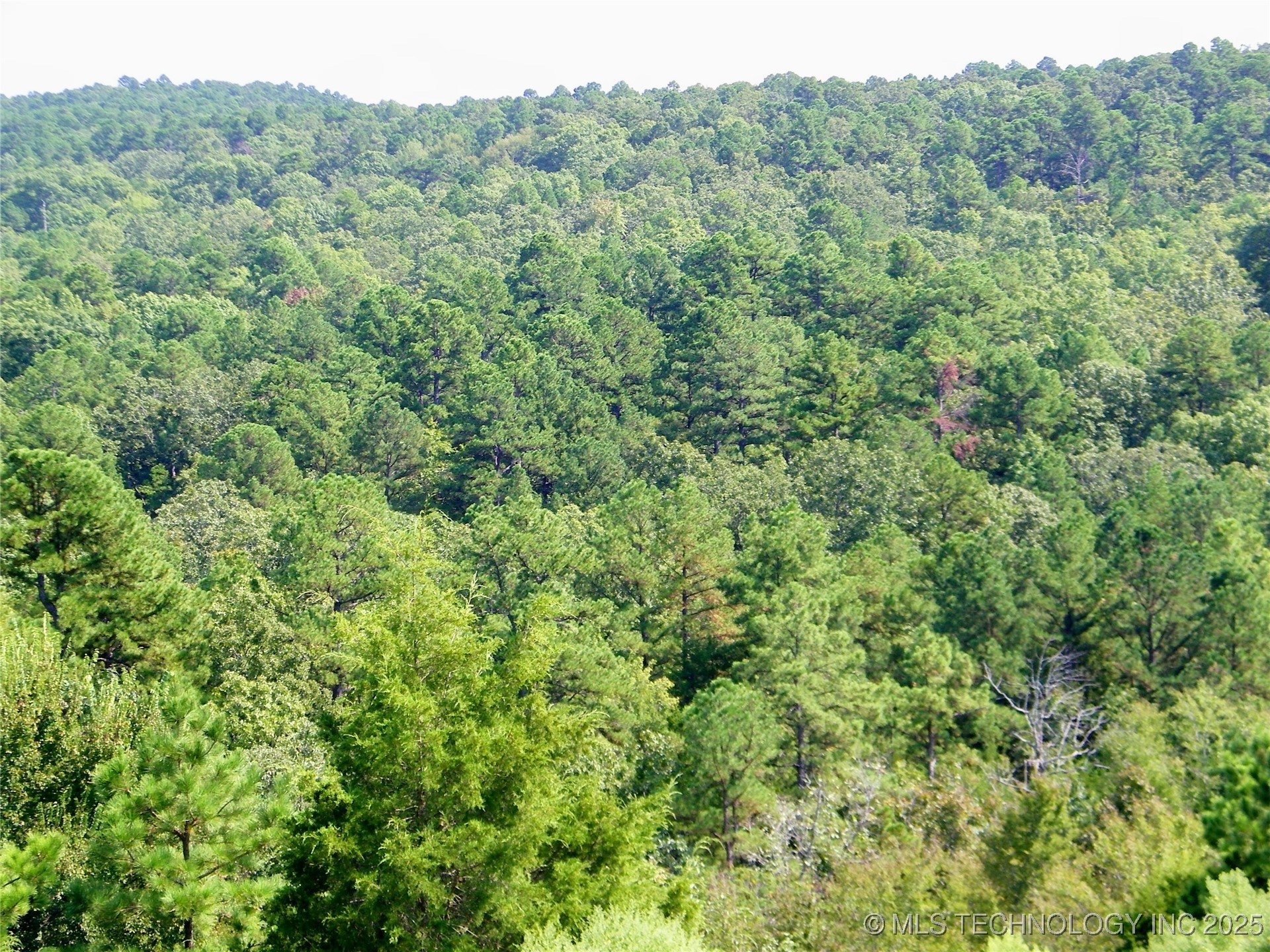 Land Property Photo 7