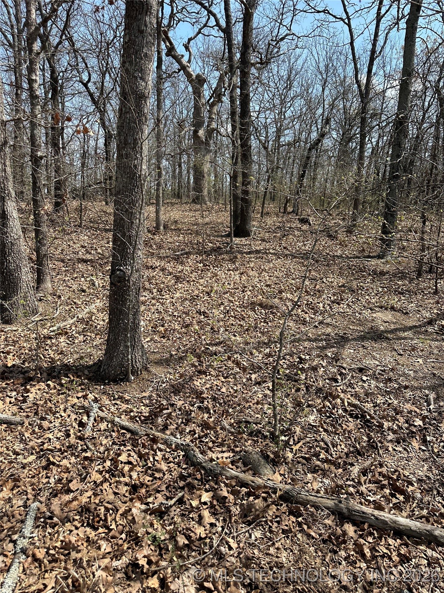 10 Will Sampson Road Property Photo 12