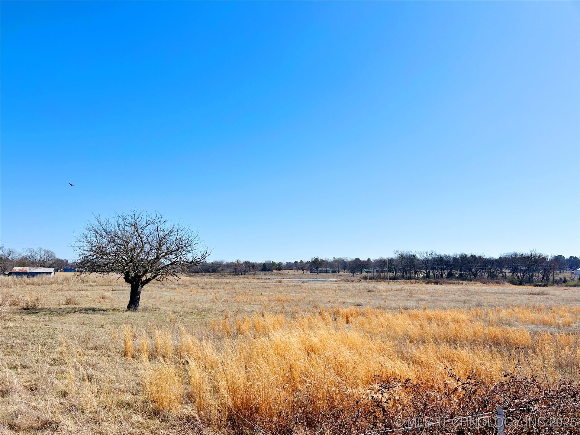 439 Maiden Lane Property Photo 23