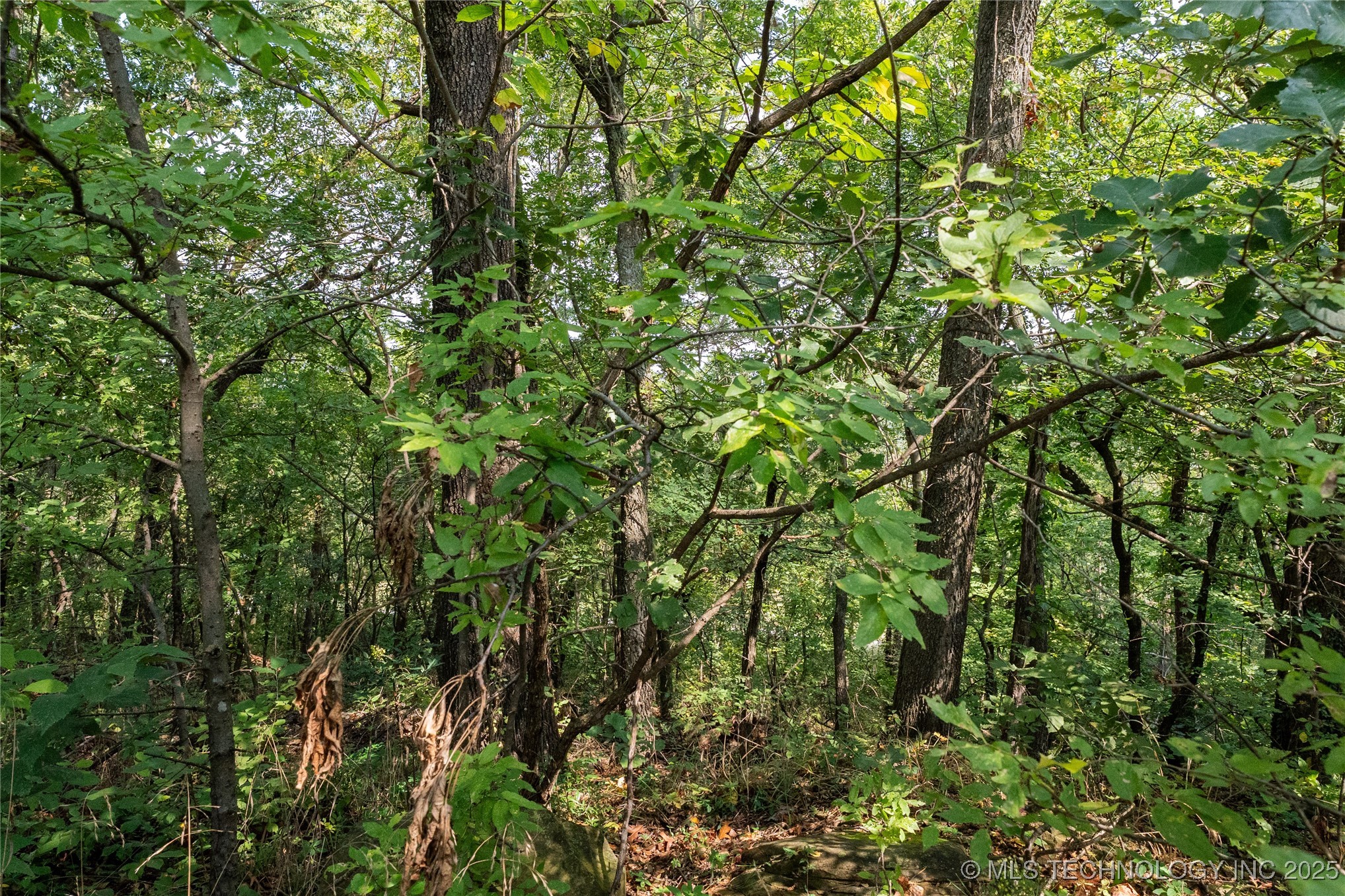 Woodcrest Lane Property Photo 3