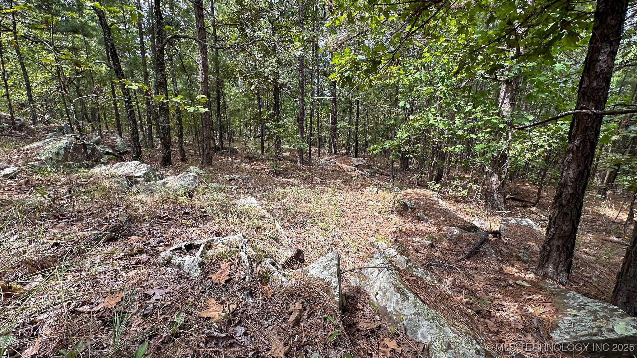 2 True Grit Trail Property Photo 41