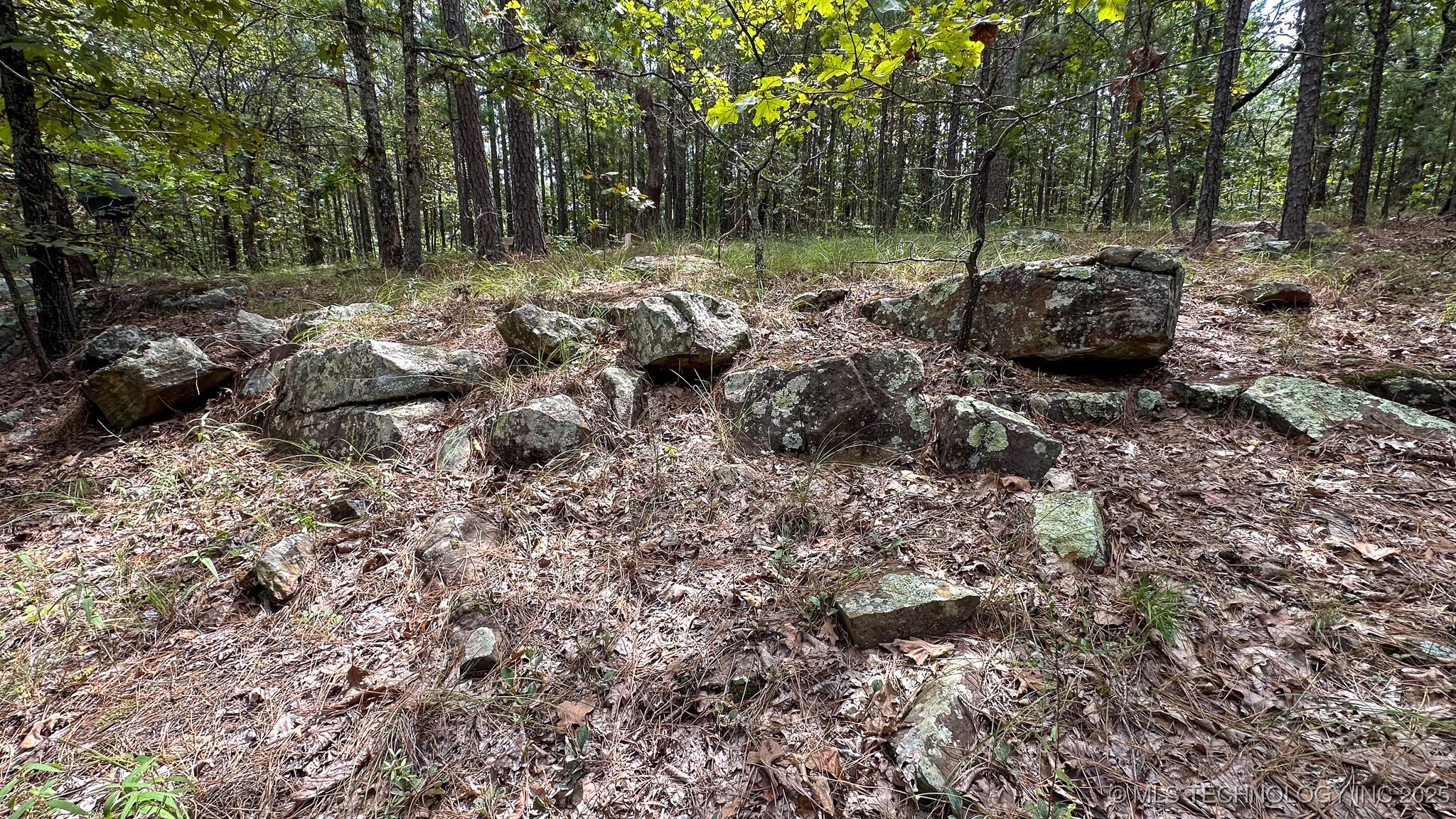 2 True Grit Trail Property Photo 42