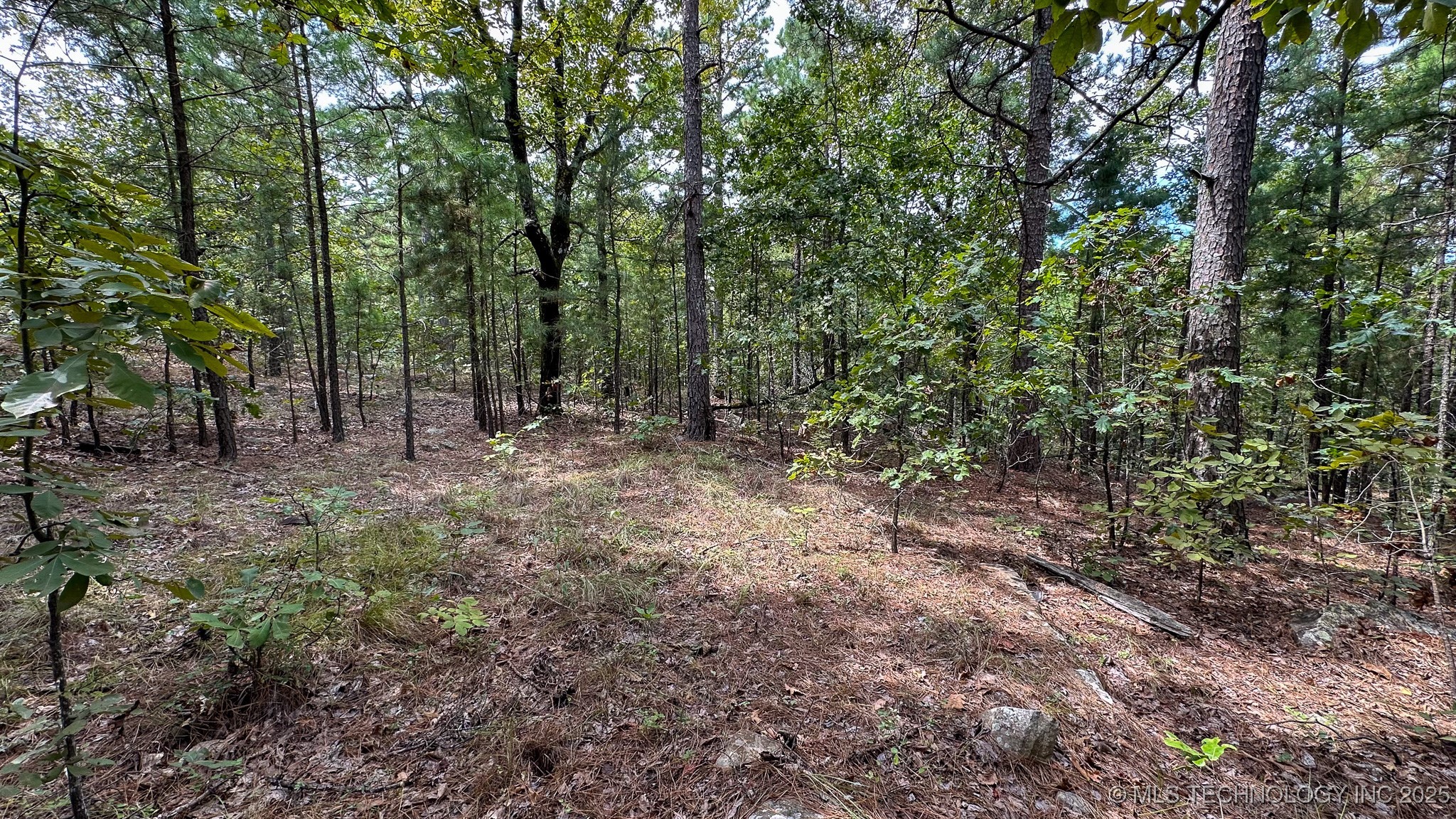 2 True Grit Trail Property Photo 44