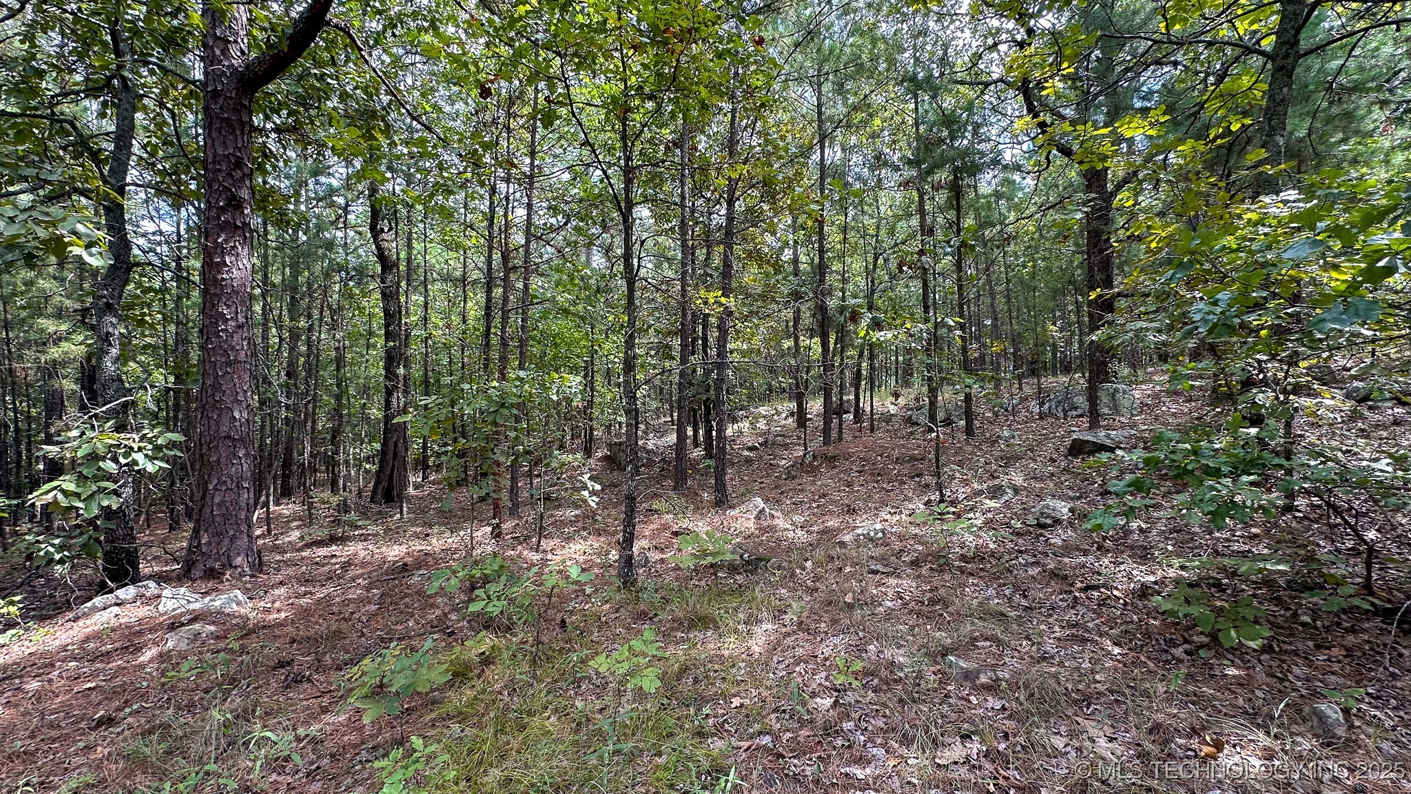 2 True Grit Trail Property Photo 46