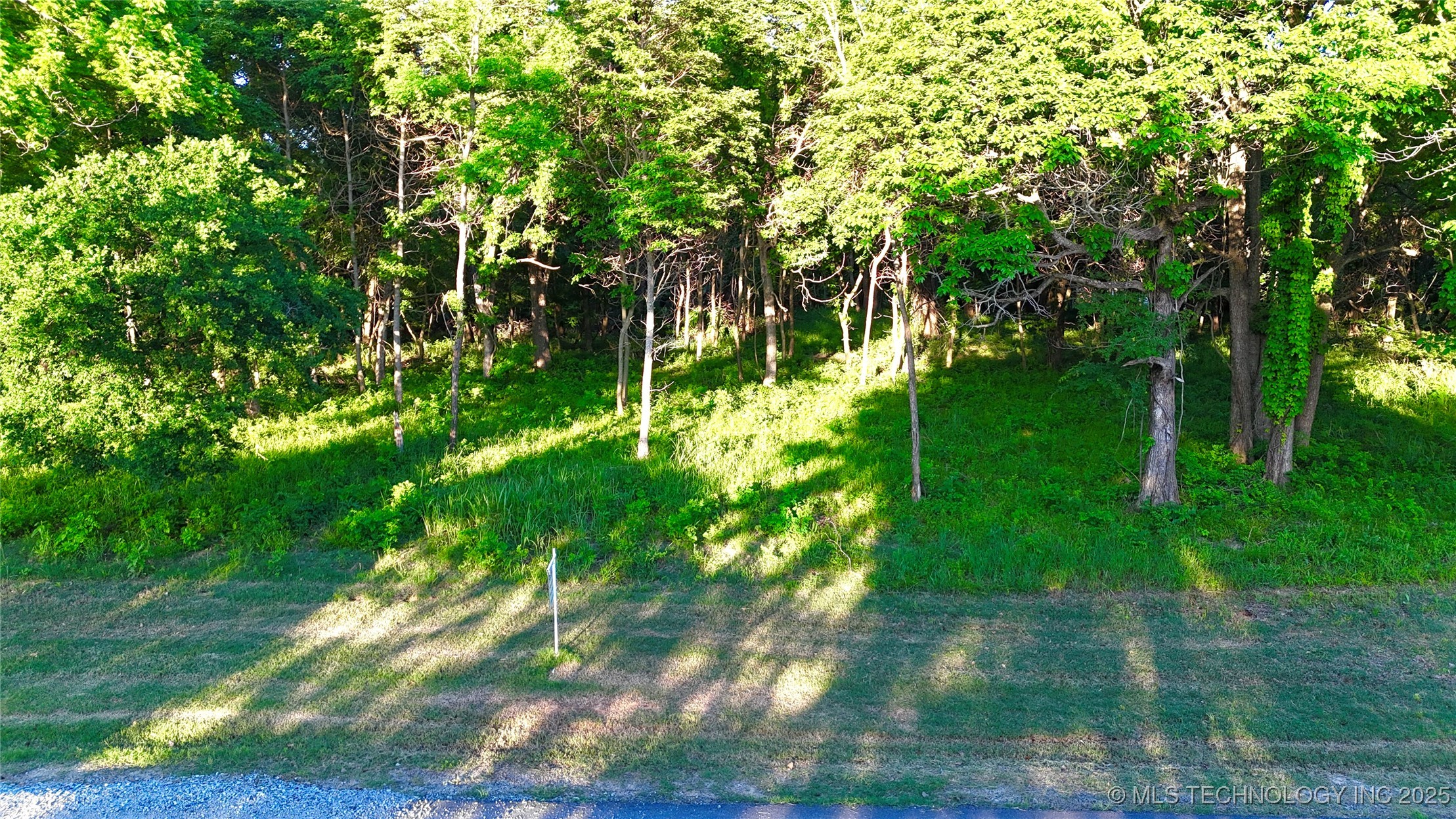 210 Patriot Pointe Loop Property Photo 4