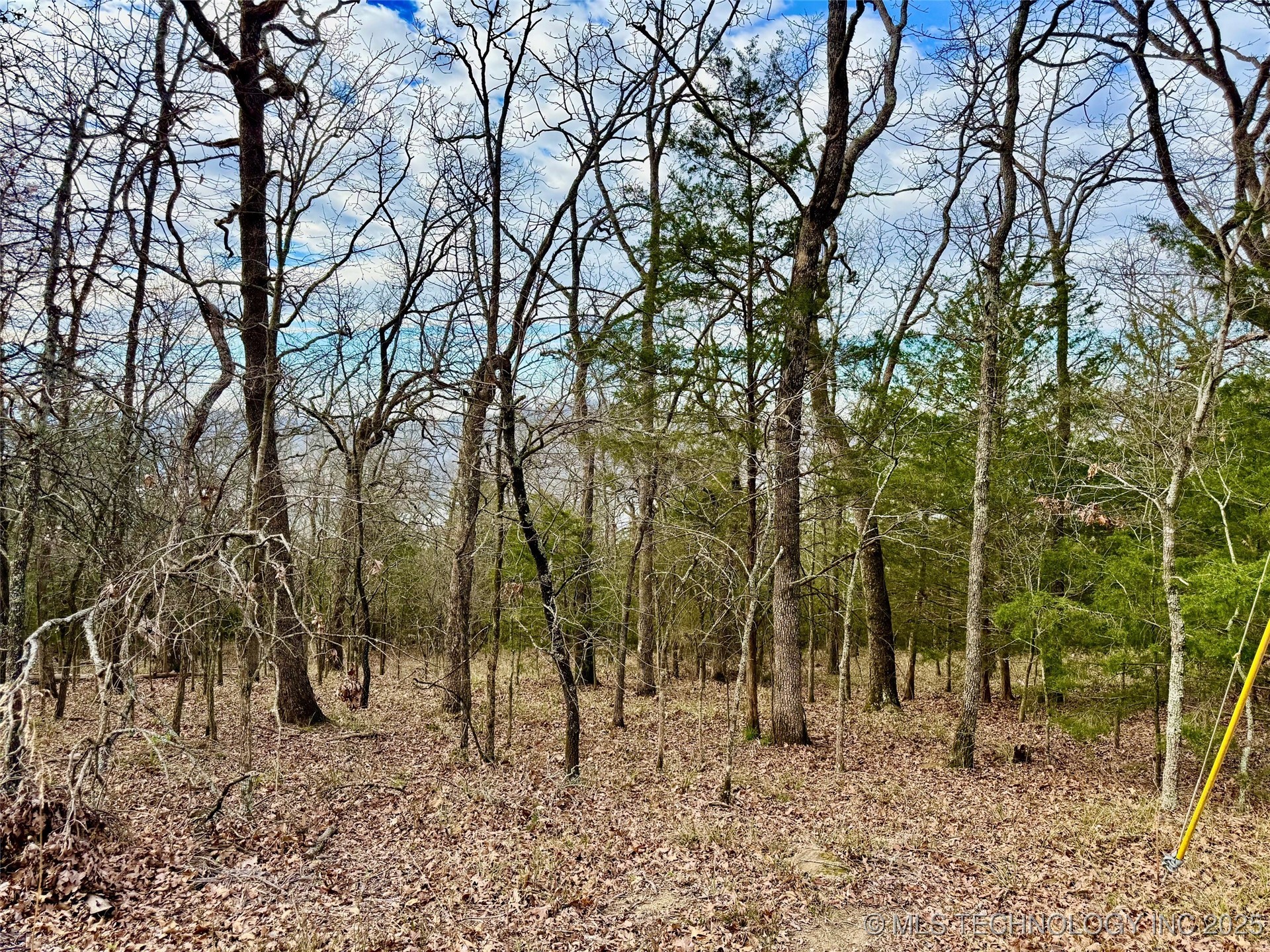 Sugar Mountain Circle Property Photo 6