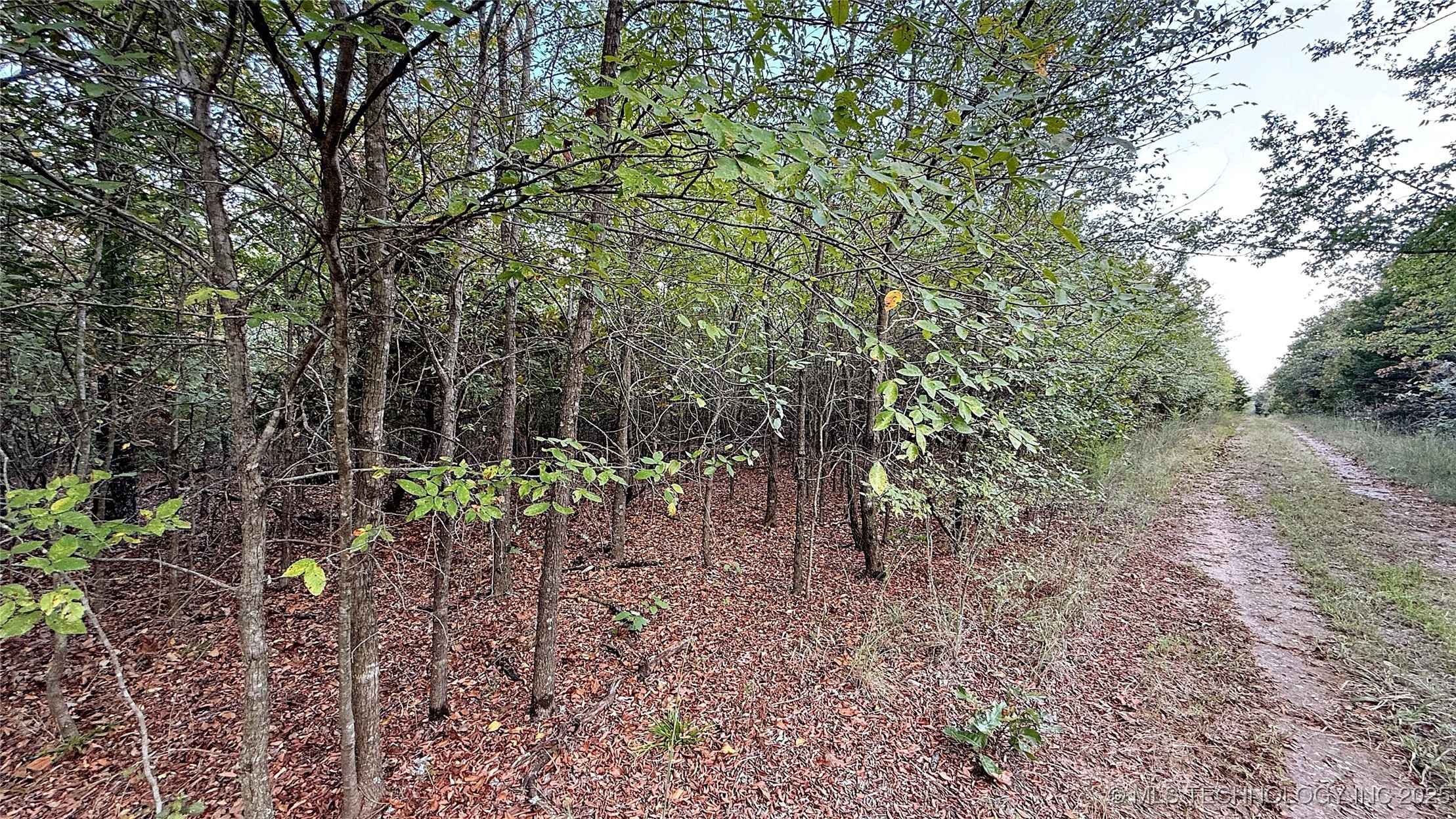 2 S 4531 Road Property Photo 4