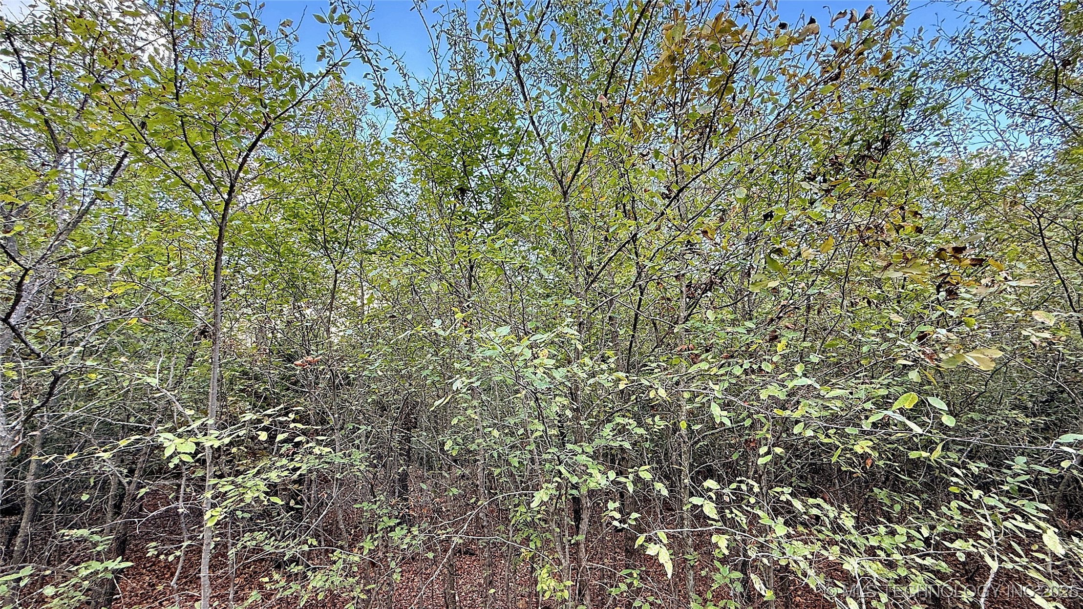 2 S 4531 Road Property Photo 5