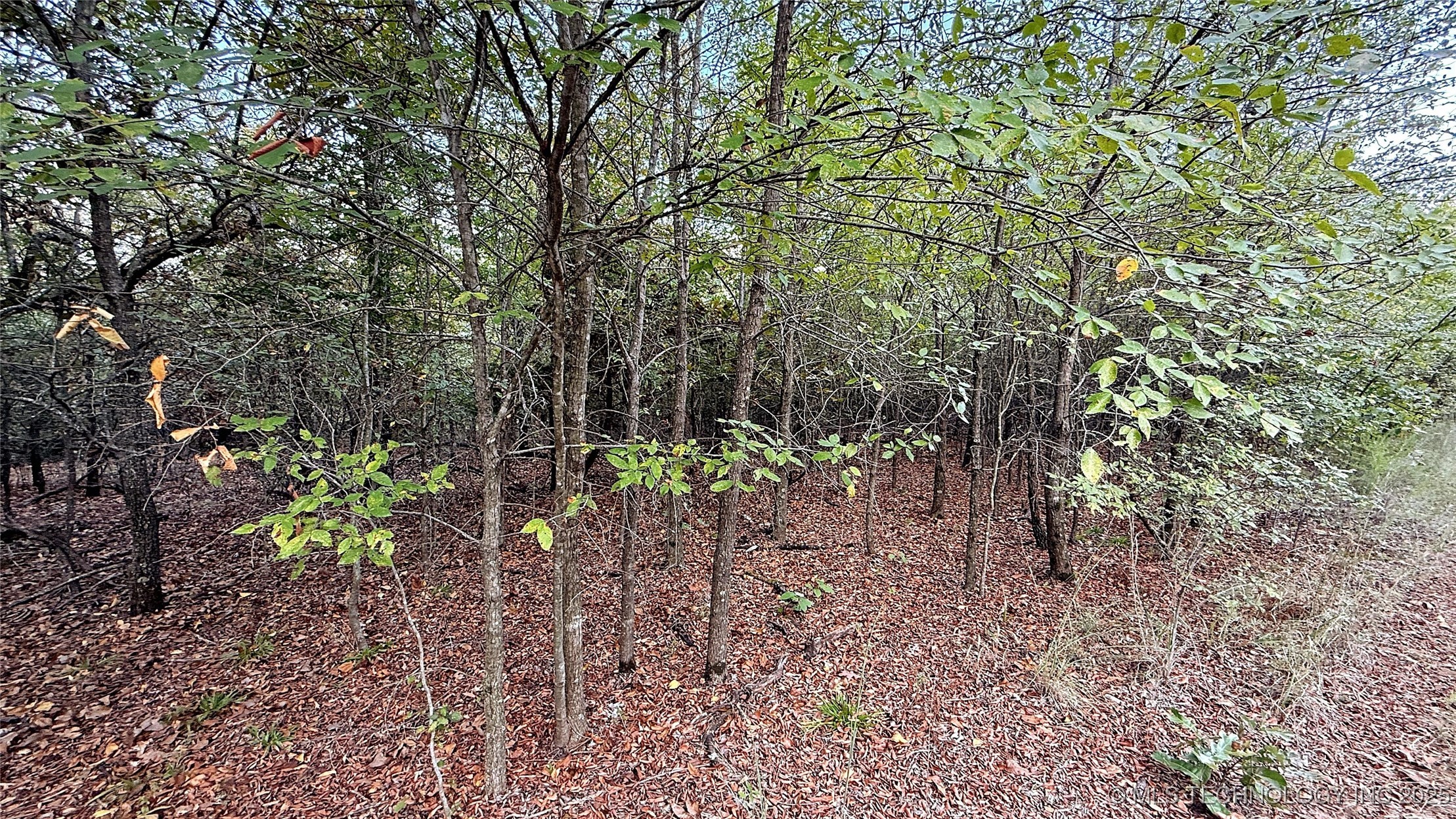 2 S 4531 Road Property Photo 8