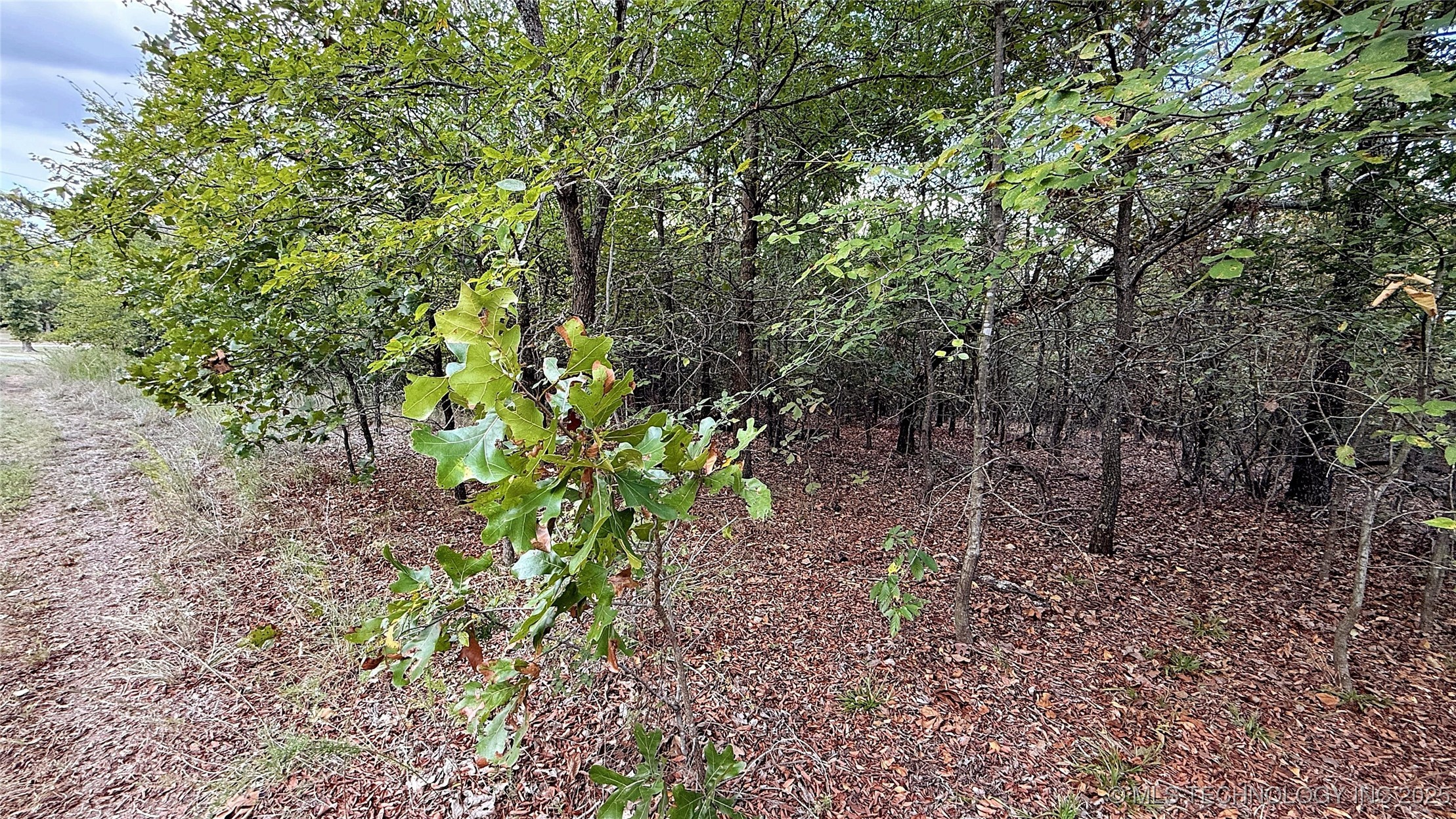 2 S 4531 Road Property Photo 9