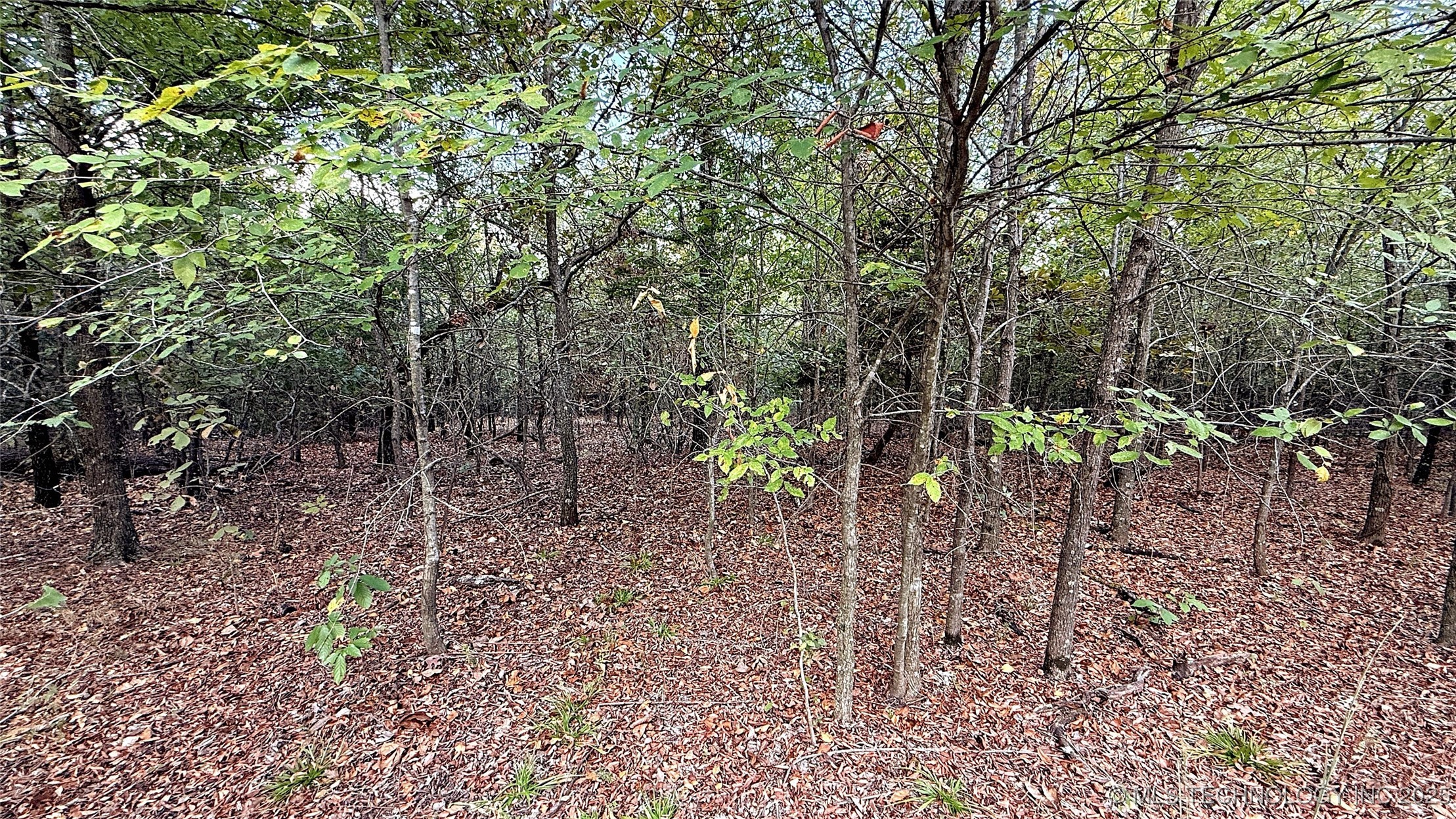 2 S 4531 Road Property Photo 11