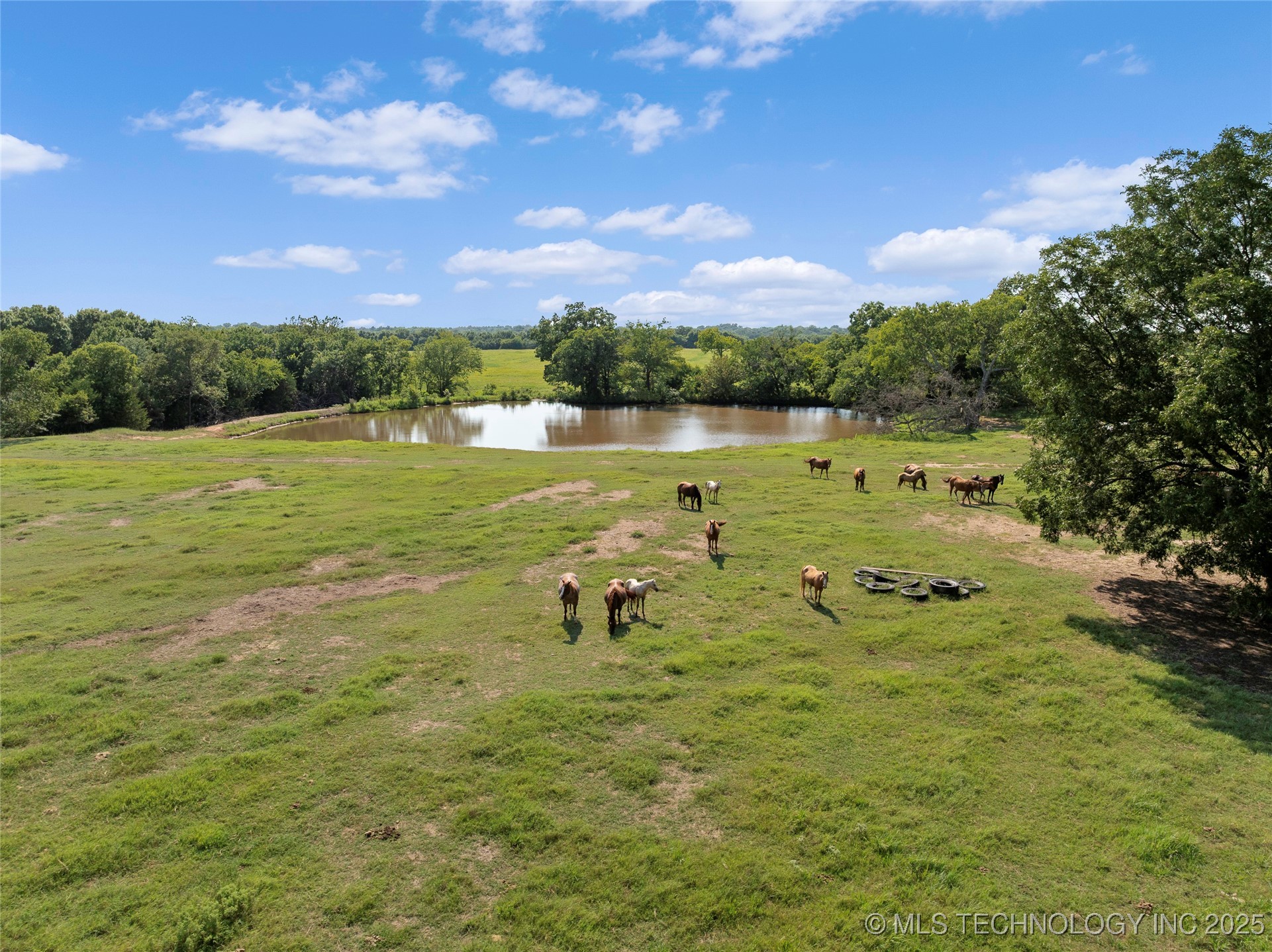 14750 Box Road Property Photo 31