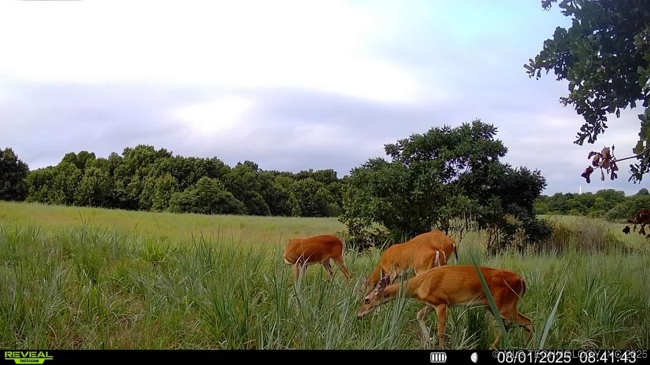 14750 Box Road Property Photo 38