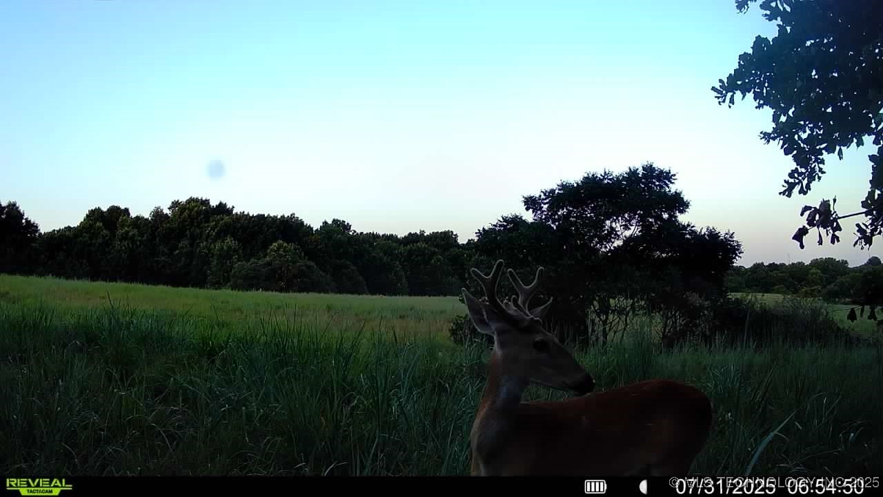 14750 Box Road Property Photo 39