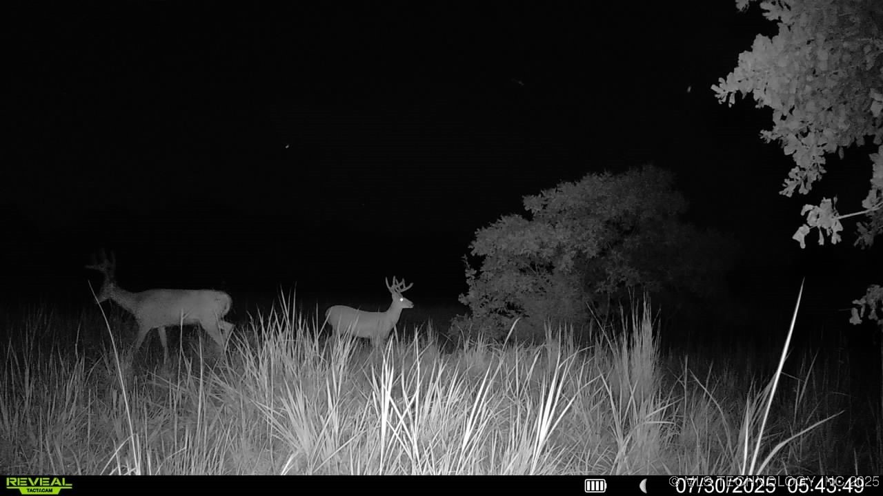 14750 Box Road Property Photo 40