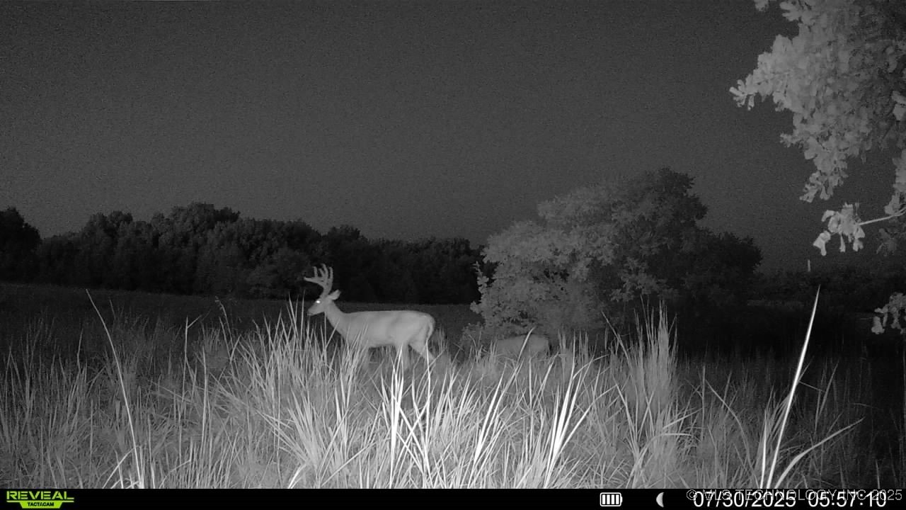 14750 Box Road Property Photo 41