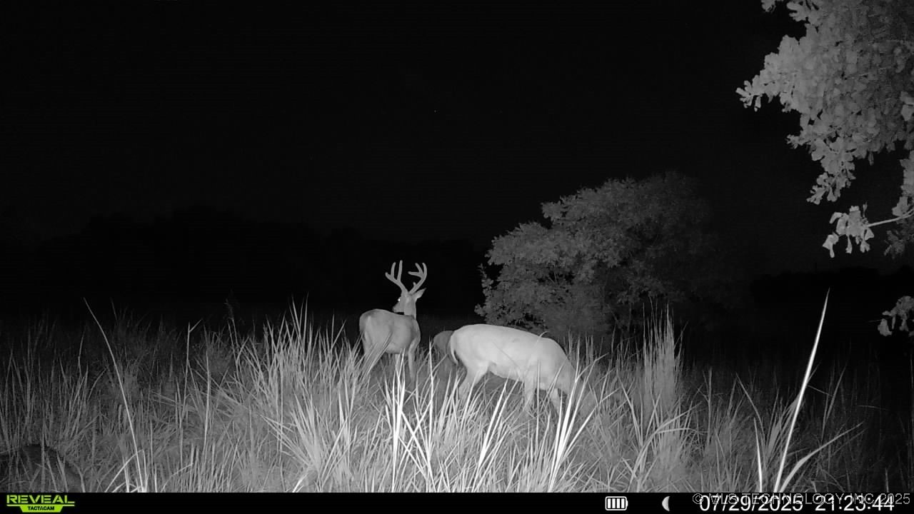 14750 Box Road Property Photo 42