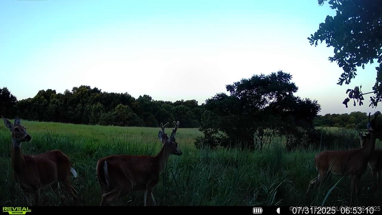 14750 Box Road Property Photo 43