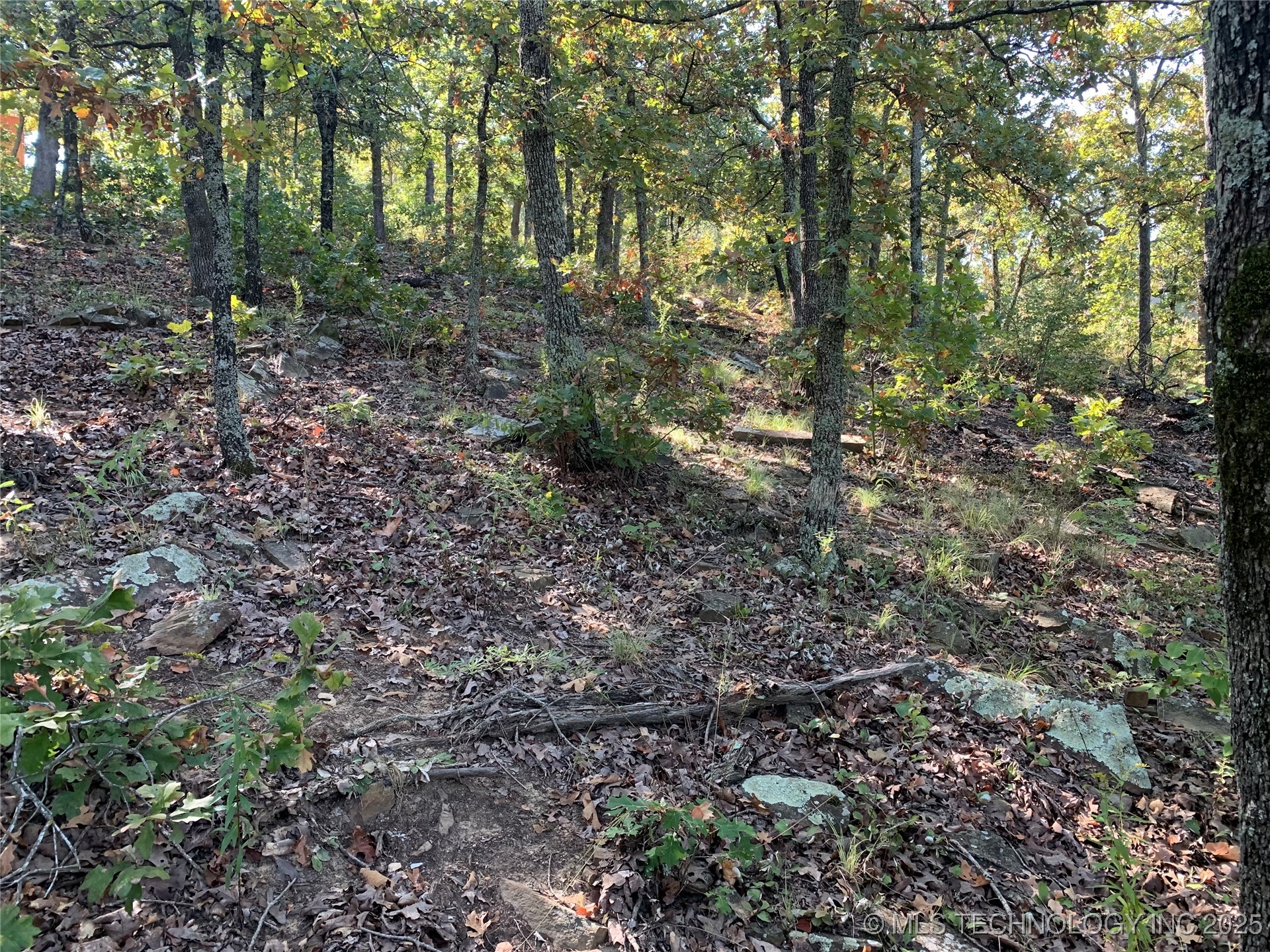 Lakeview Road Property Photo 5