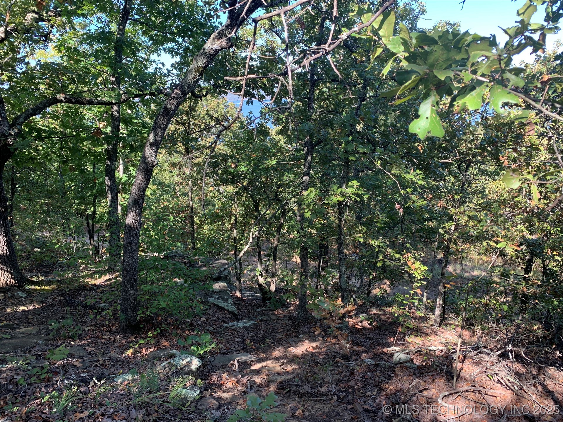 Lakeview Road Property Photo 6