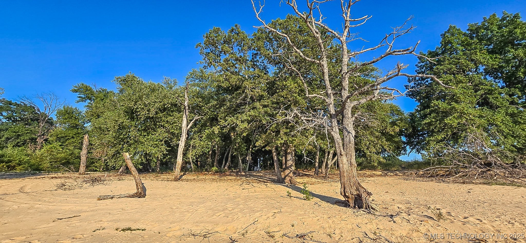 117672 S 4202 Road Property Photo 2