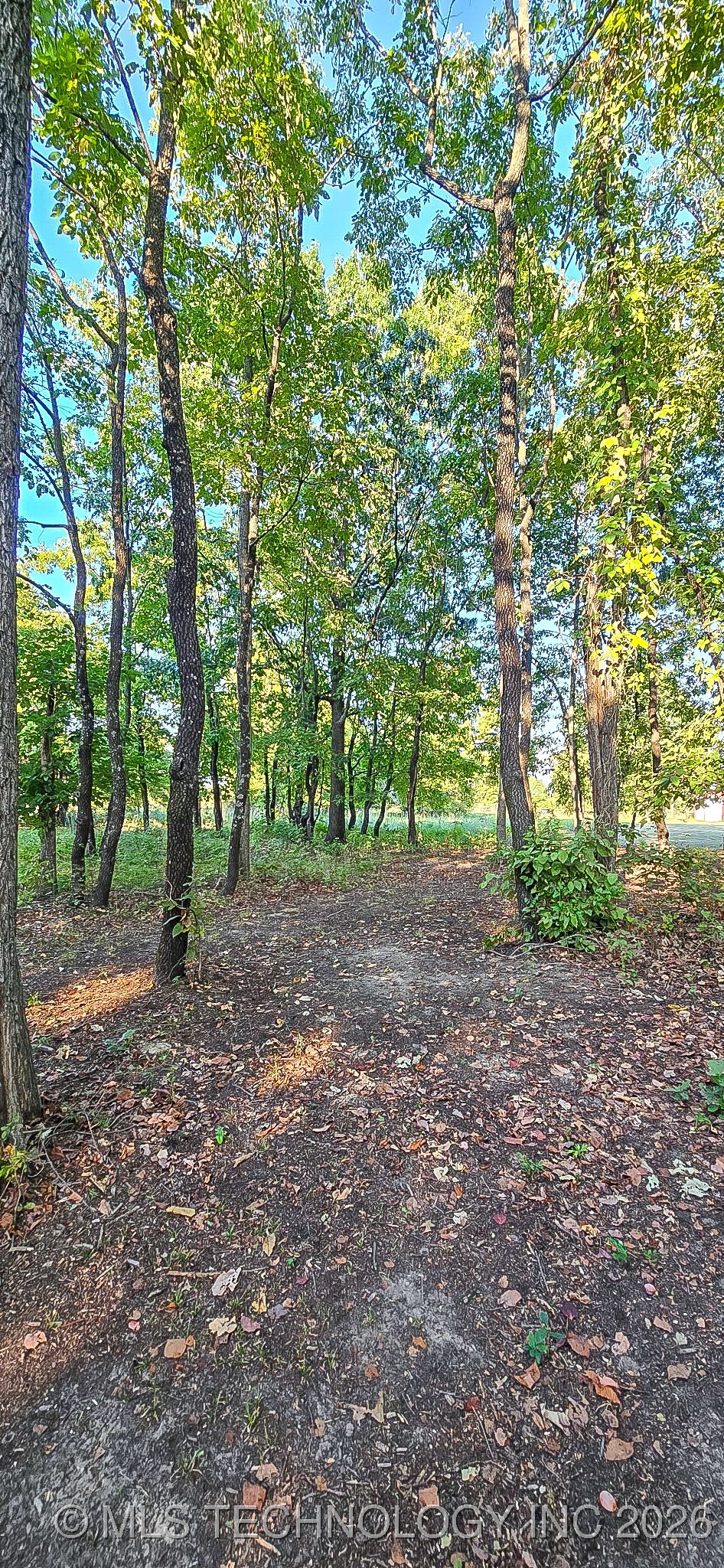 117672 S 4202 Road Property Photo 7