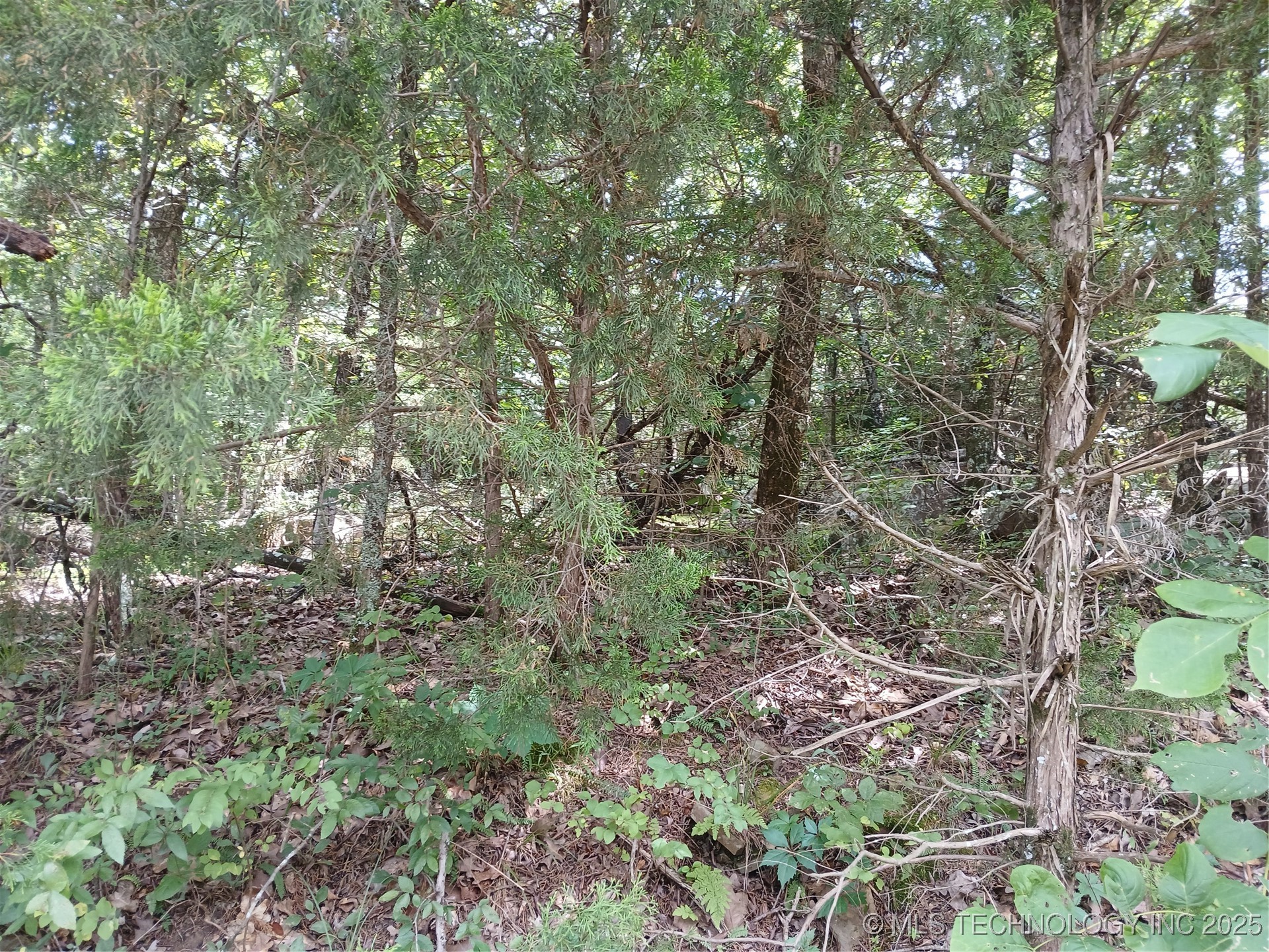 County Road 1170 Property Photo 1