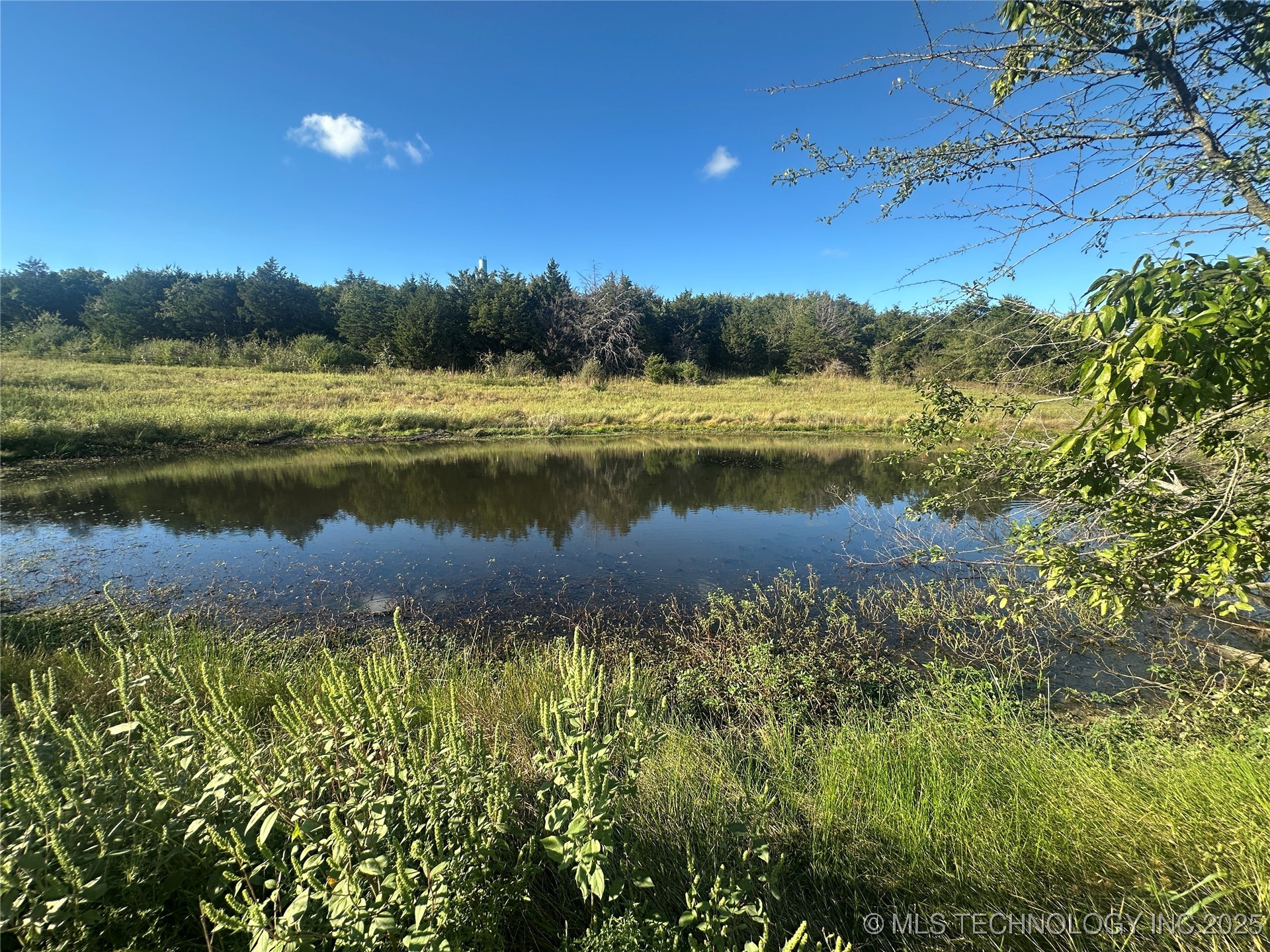 1030 4th Property Photo 13