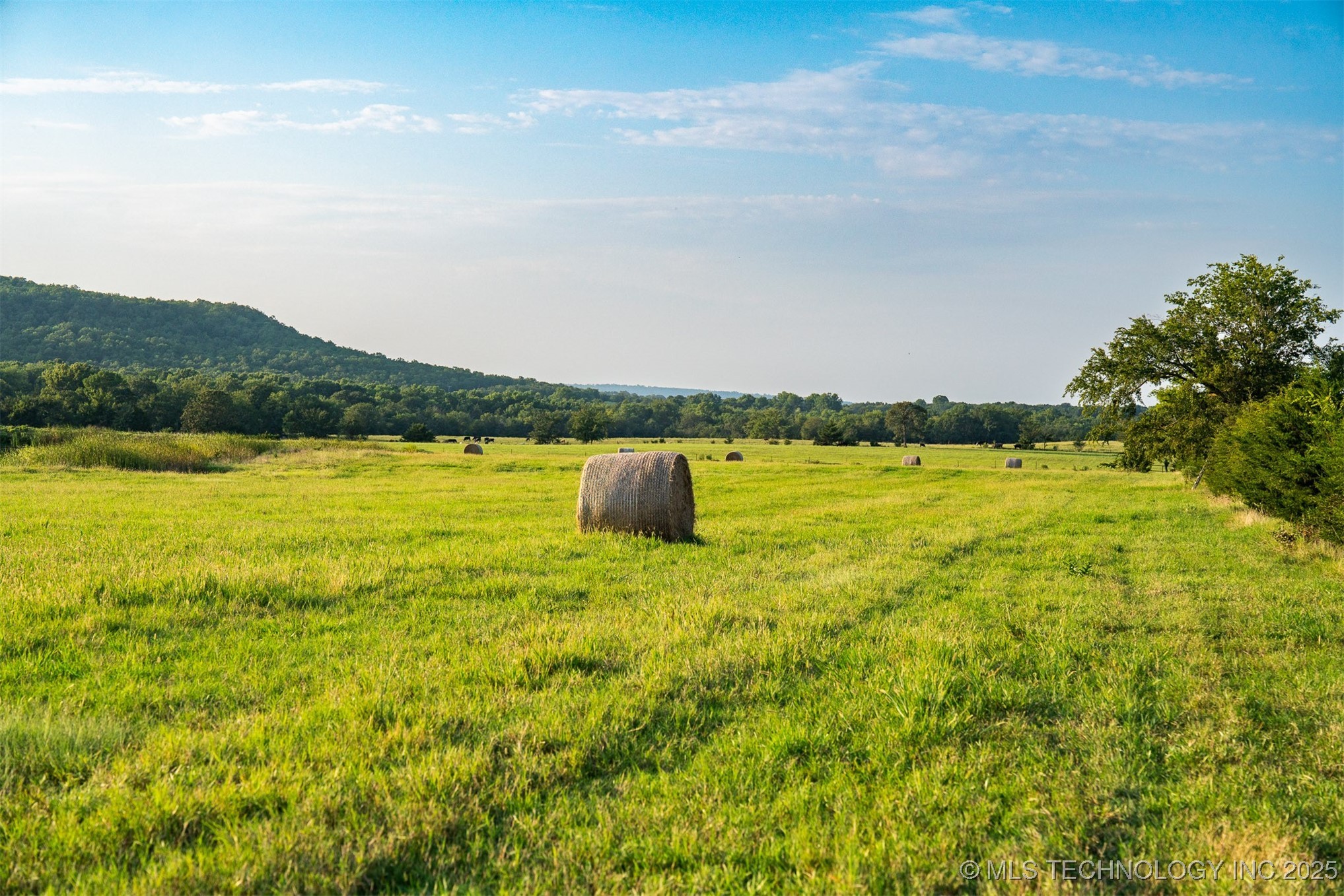 2 Bucklucksy Road Property Photo 5