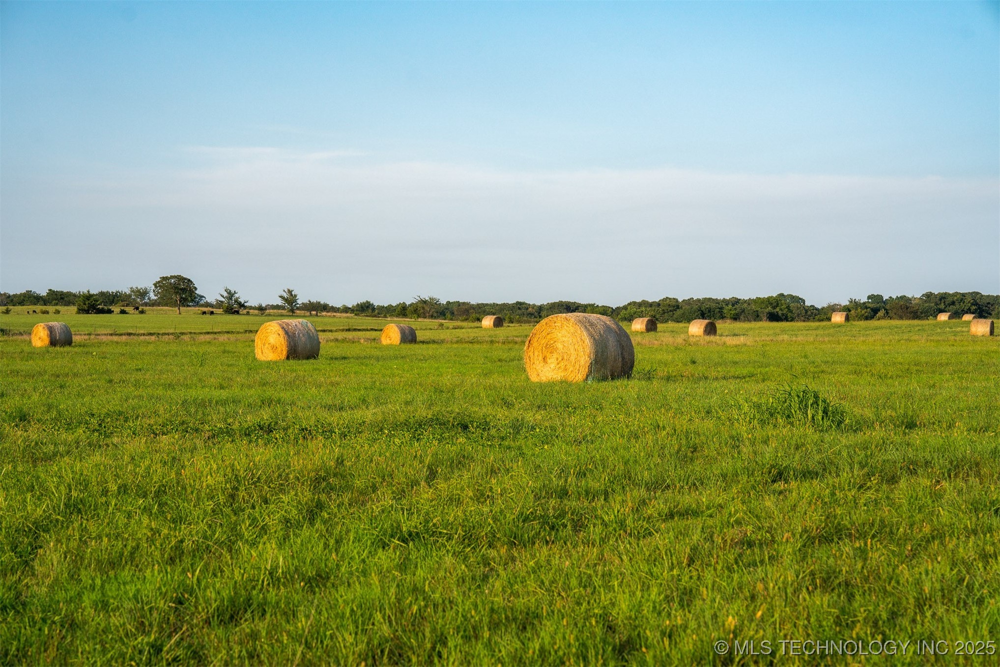 2 Bucklucksy Road Property Photo 6