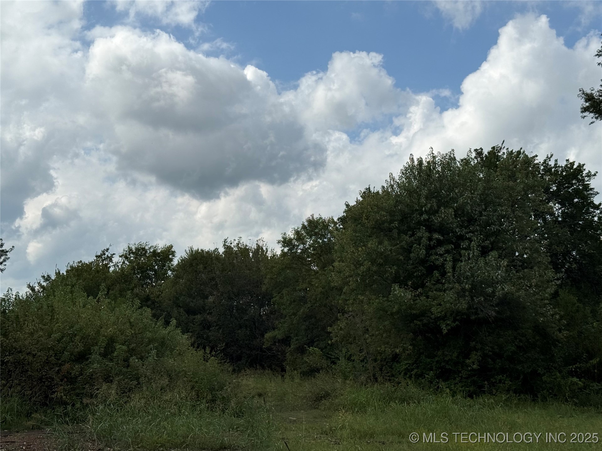 308 Powell Avenue Property Photo 3