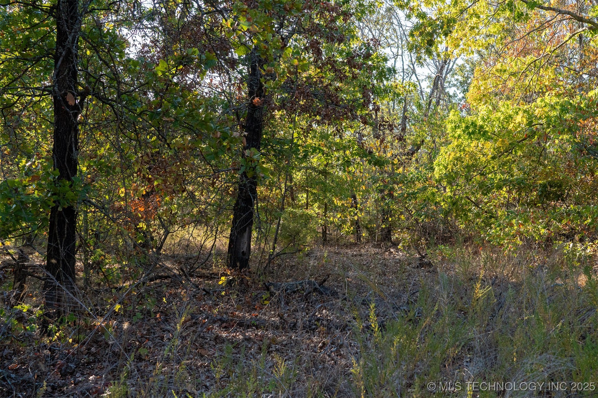 26353 E 300 Road Property Photo 12