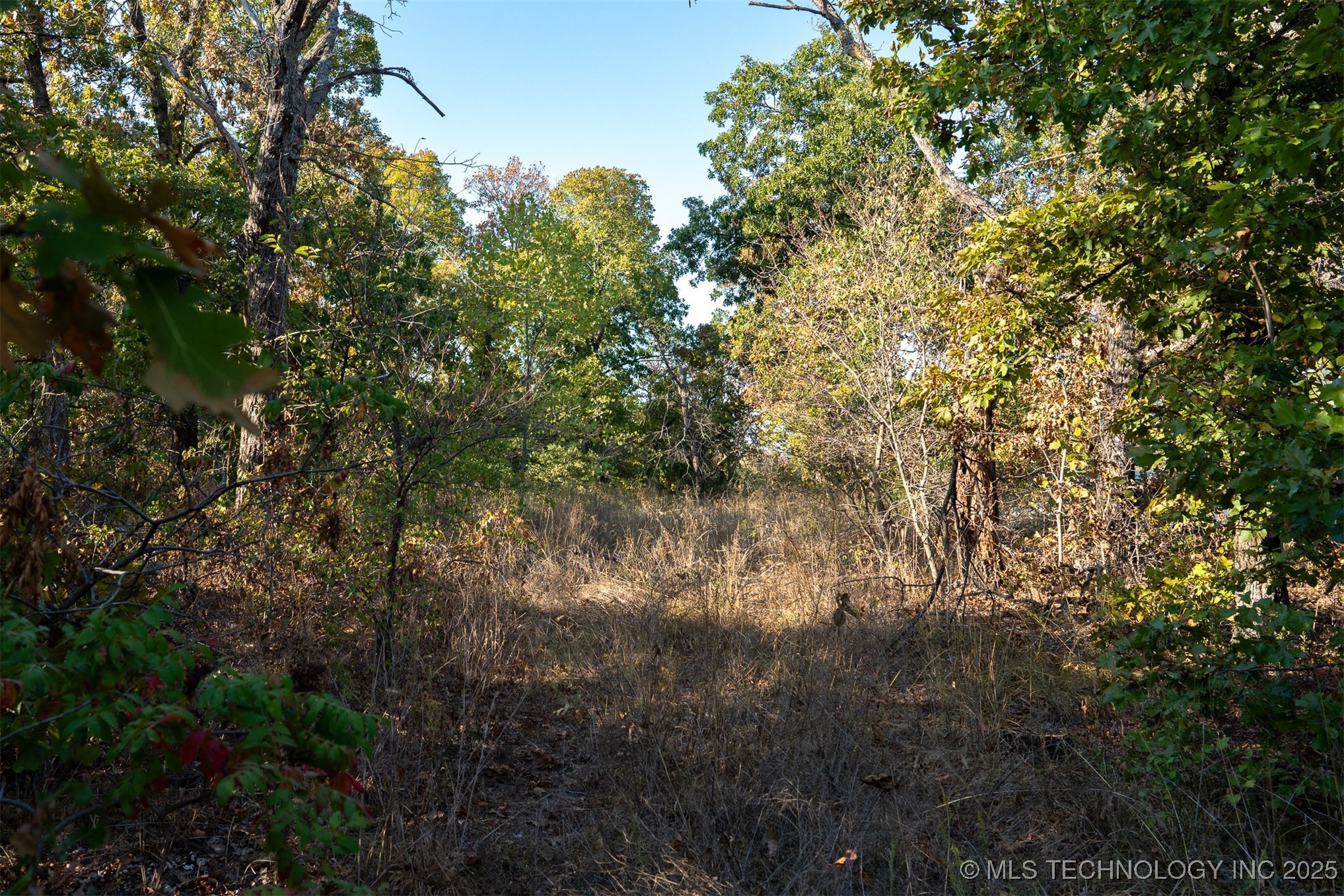 26353 E 300 Road Property Photo 15