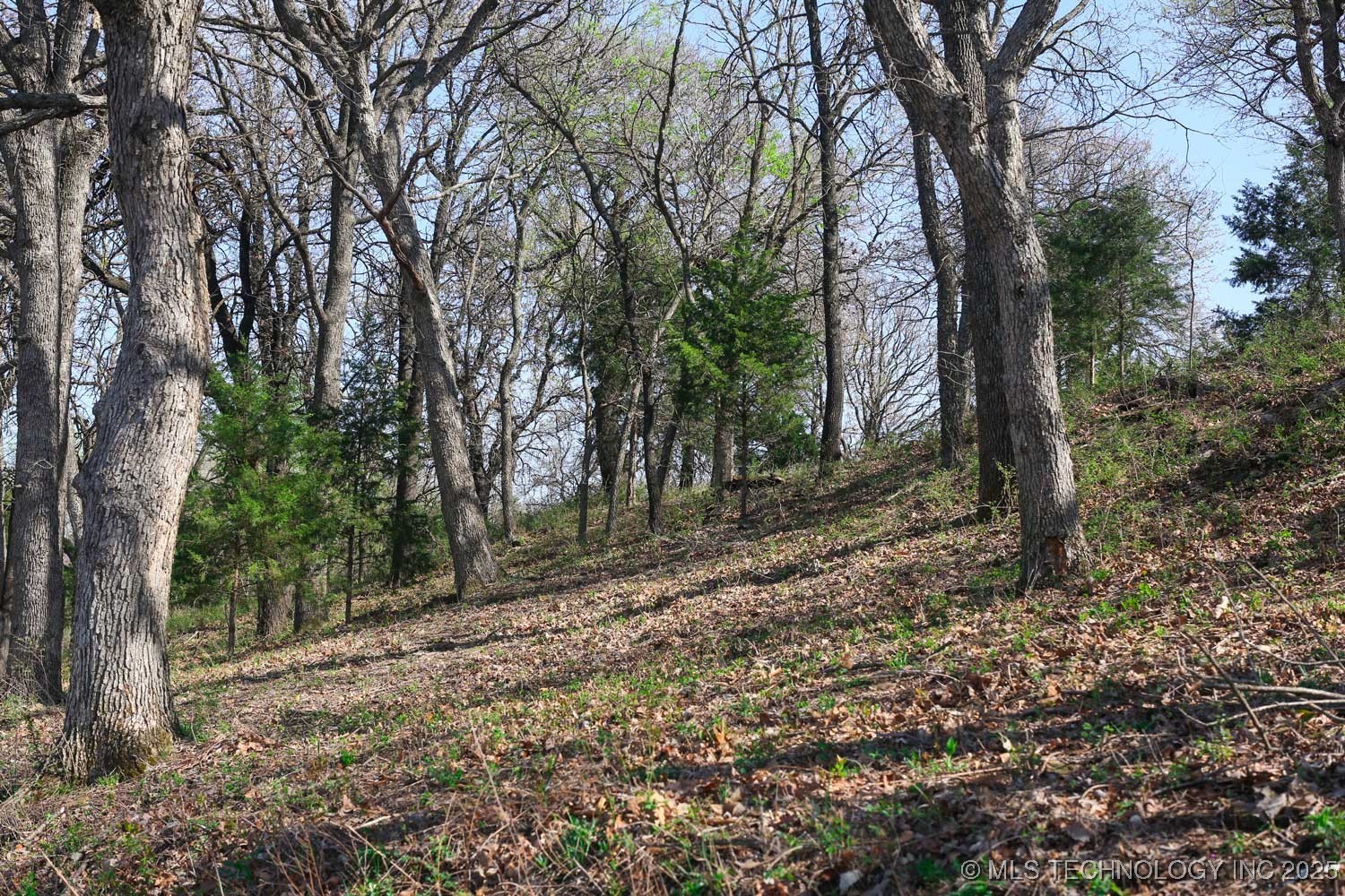 397516 W 2700 Road Property Photo 4