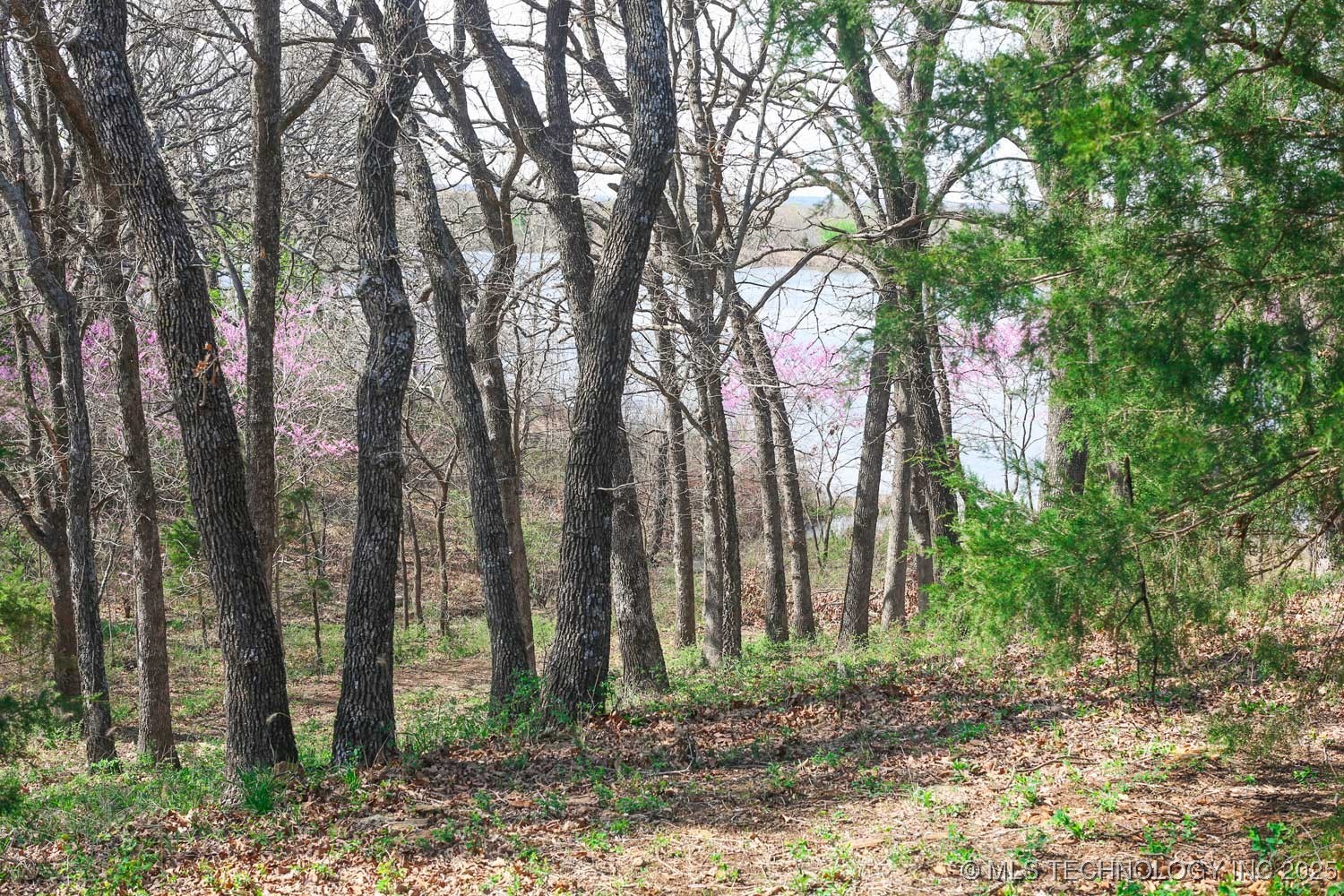 397516 W 2700 Road Property Photo 32